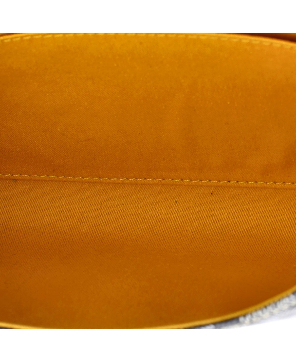 Pre-Owned Goyard Mm Monte Carlo Clutch Coated Canvas