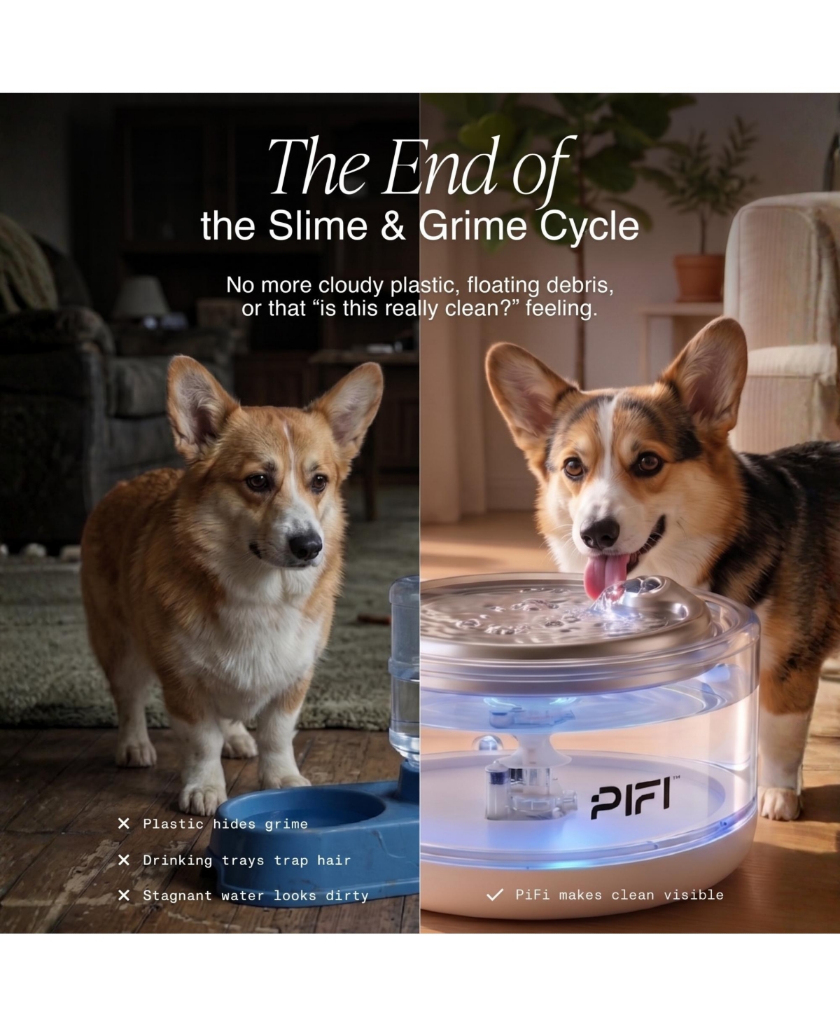 PiFi Sapphire Dog Glass Water Fountain, 4L, Ultra-Quiet