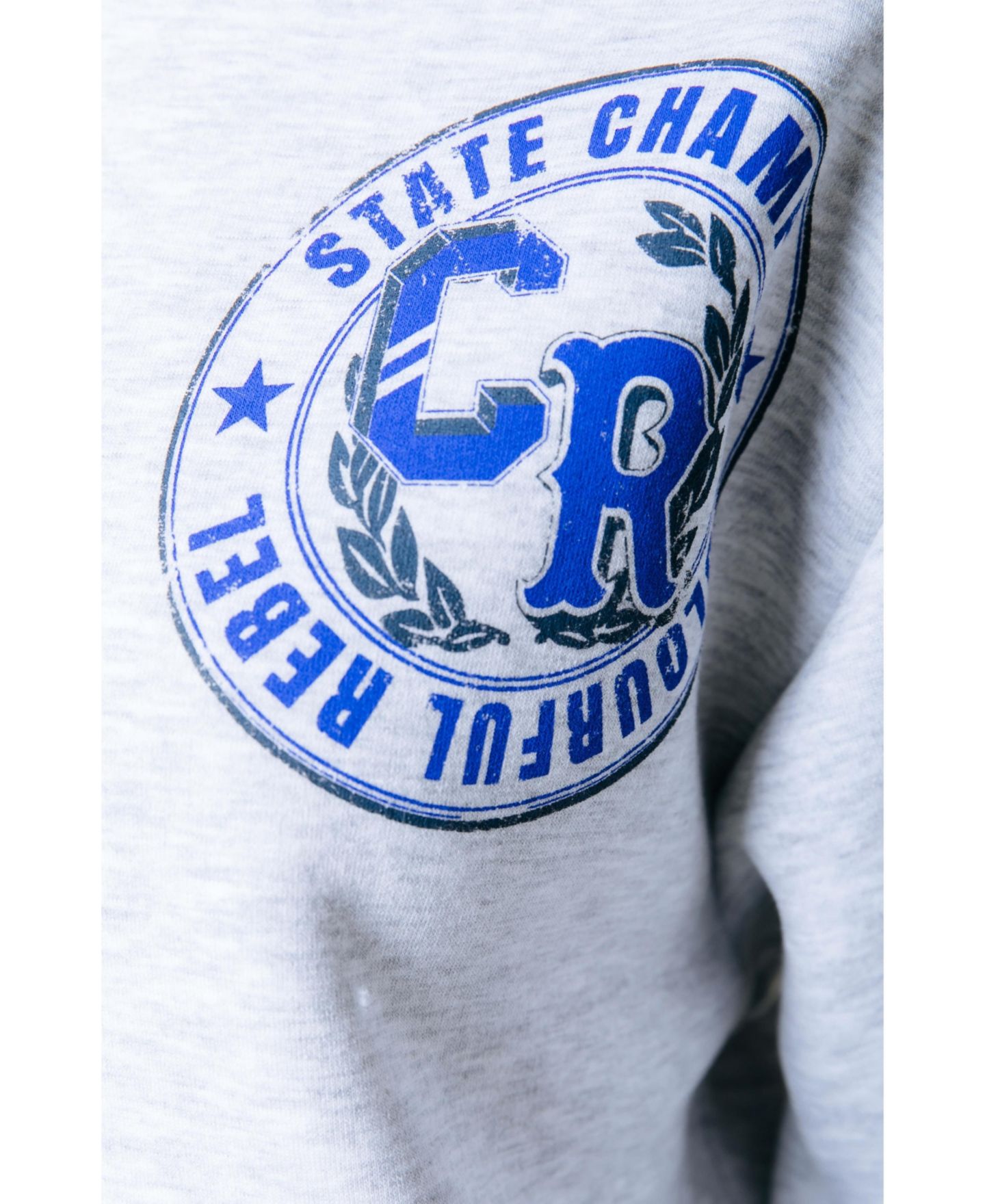 Женский топ Colourful Rebel State Champ 23 Dropped Shoulder Sweat, цвет: Пастельный серый — фото 4