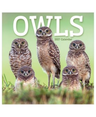 2027 Owls Wall Calendar