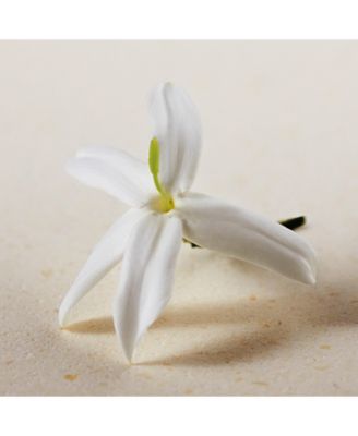 Chloe Atelier des Fleurs Jasminum Sambac Eau de Parfum Spray, 1.6