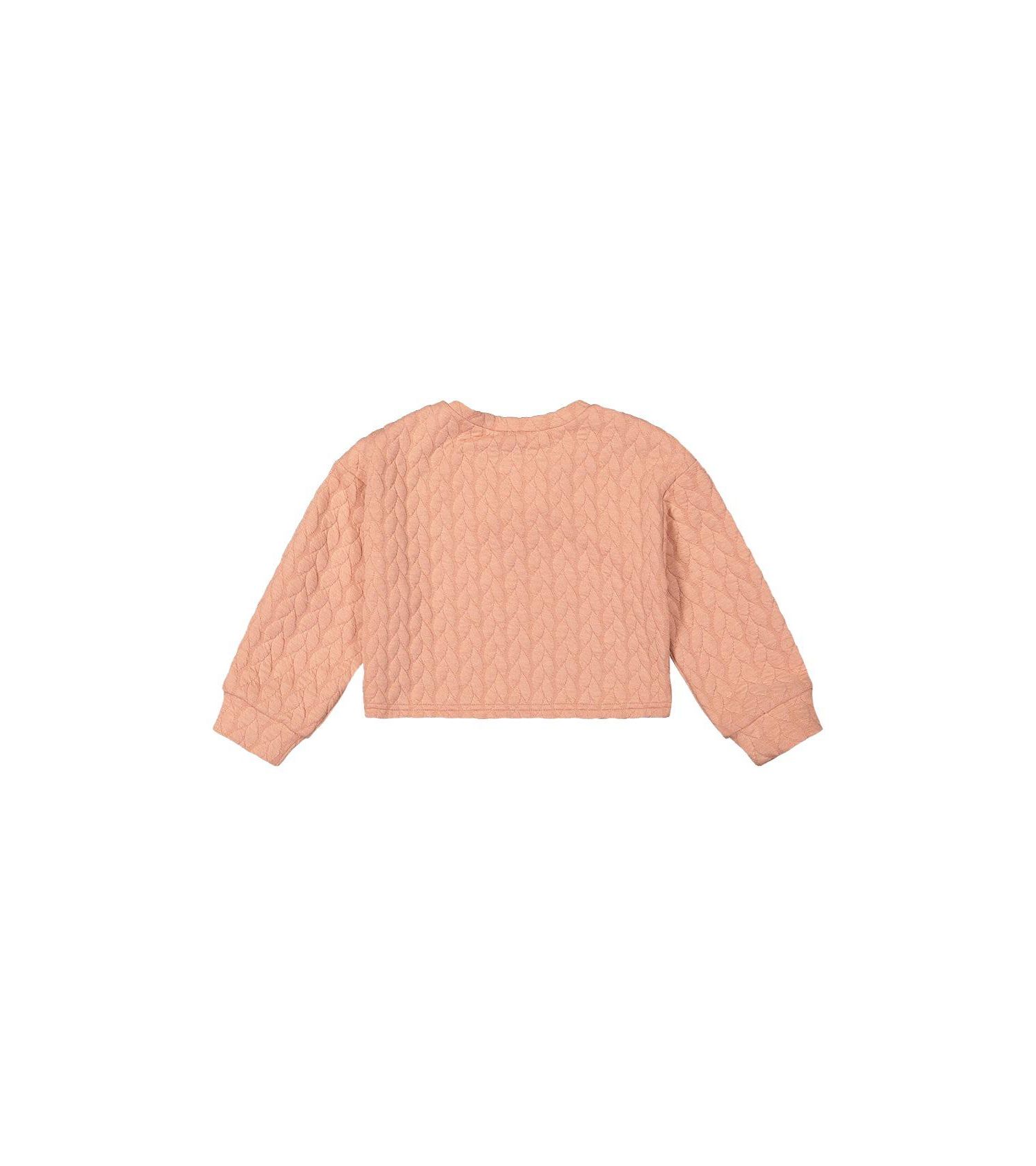 Little and Big Girl 6-14 Jacquard Sweatshirt