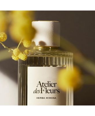 Chloe Atelier des Fleurs Herba Mimosa Eau de Parfum Spray, 5 oz