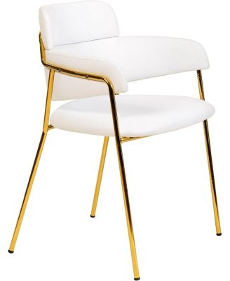 Axis Dining Chair, Velvet Upholstery with Stainless Steel Legs, Accent Side Chair for Modern Home, Kitchen and Dining