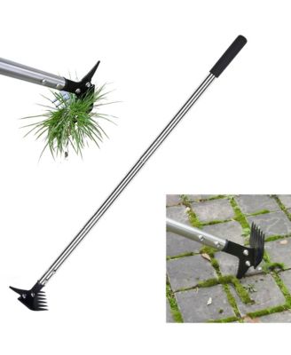 Weed Puller Long Handle 2-in-1 Rake Crack Weeder Detachable Head Stainless Steel Garden Tool