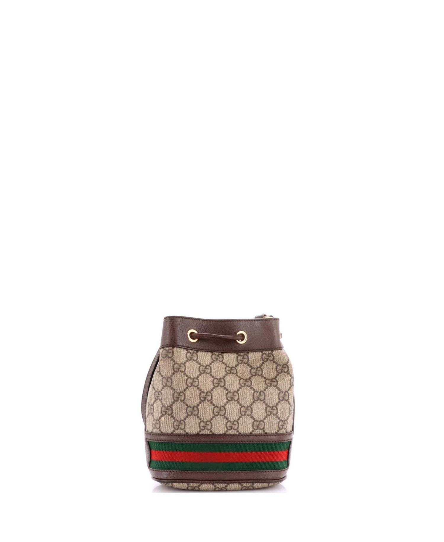 Mini Ophidia Bucket Bag GG Coated Canvas