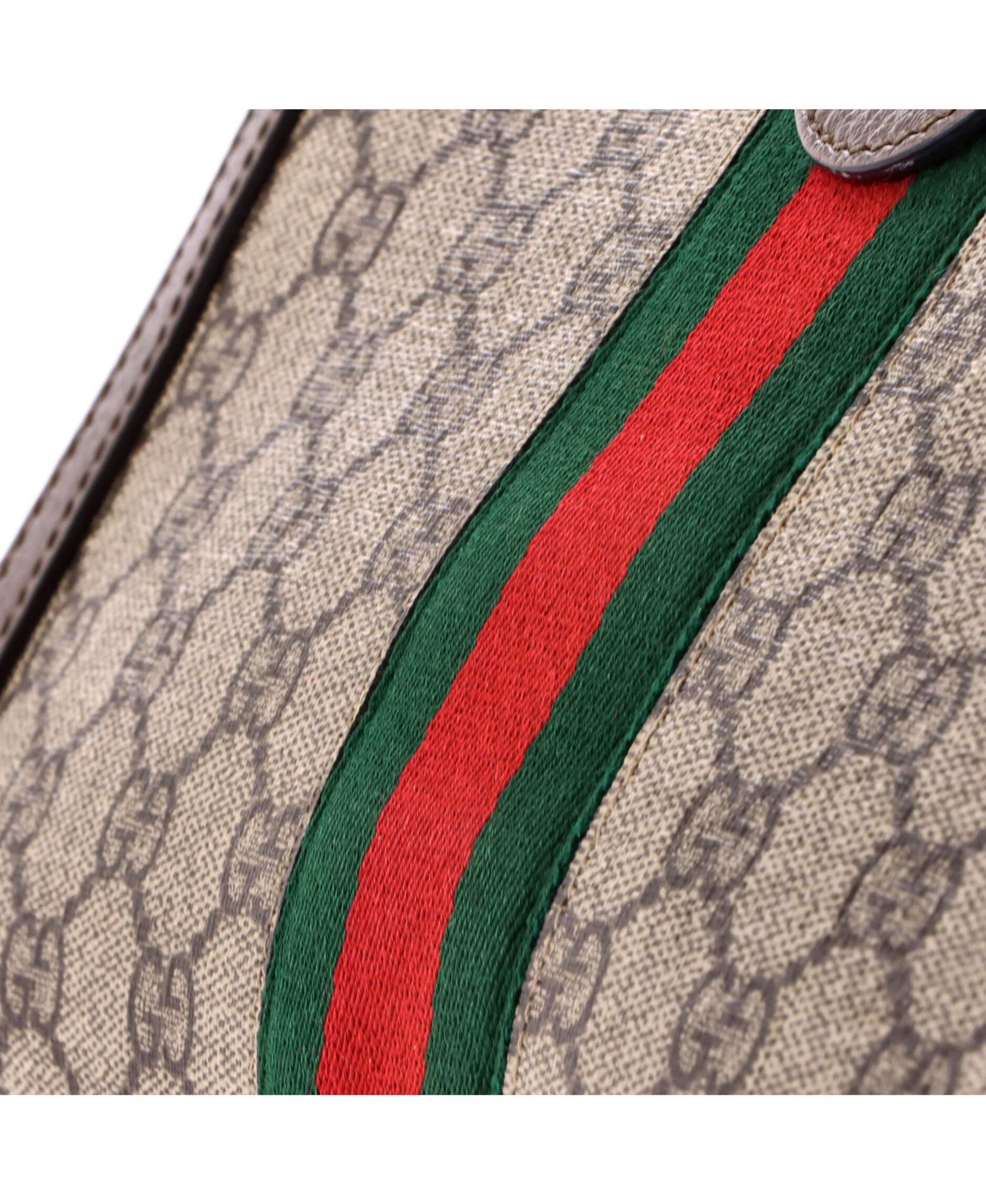 Small Ophidia Chain Shoulder Bag GG Coated Canvas