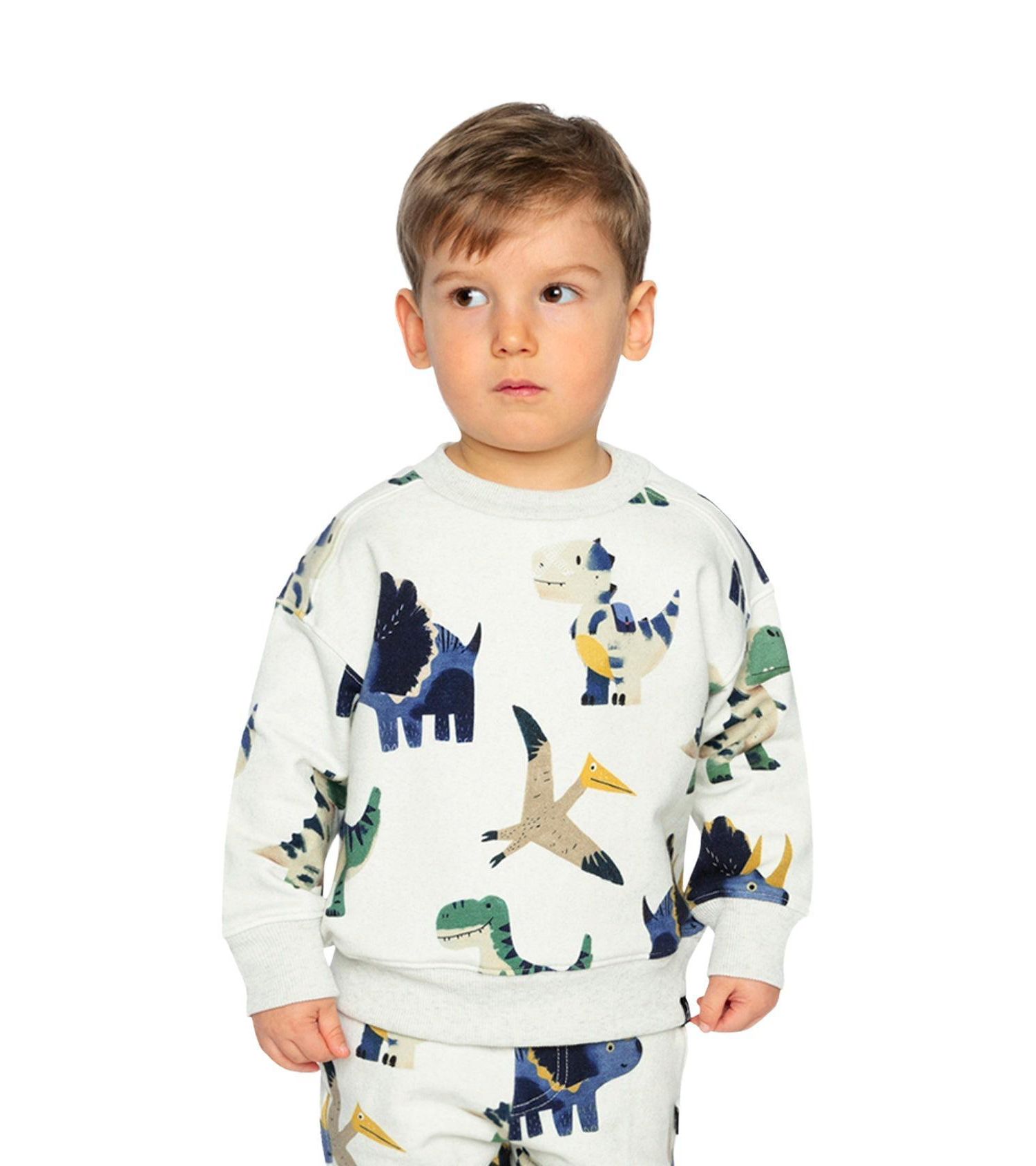 Little Boys (6-8) Fleece Sweatshirt Dinosaur Print