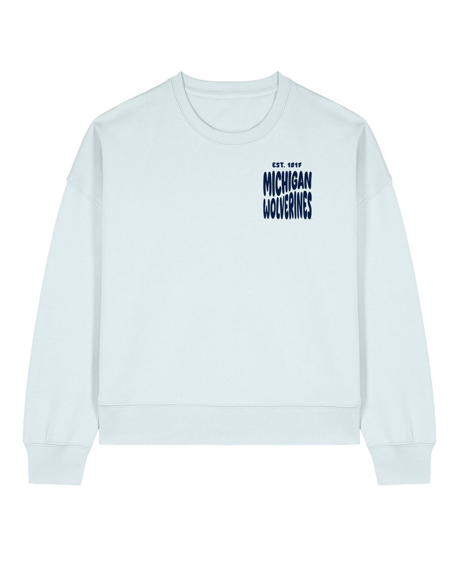 Women's Light Blue Michigan Wolverines Cloud Sweatshirt