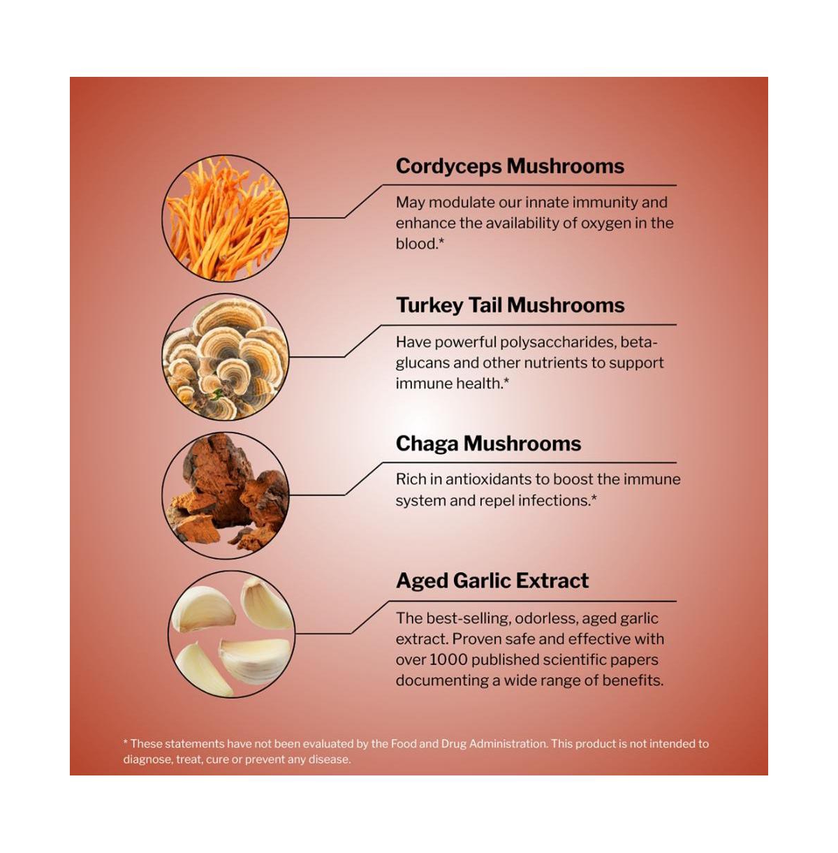 Kyolic Immune Mushrooms Supplement Chaga, Cordyceps, Turkey Tail and Aged Garlic Extract for Wellness Support 120 Capsules