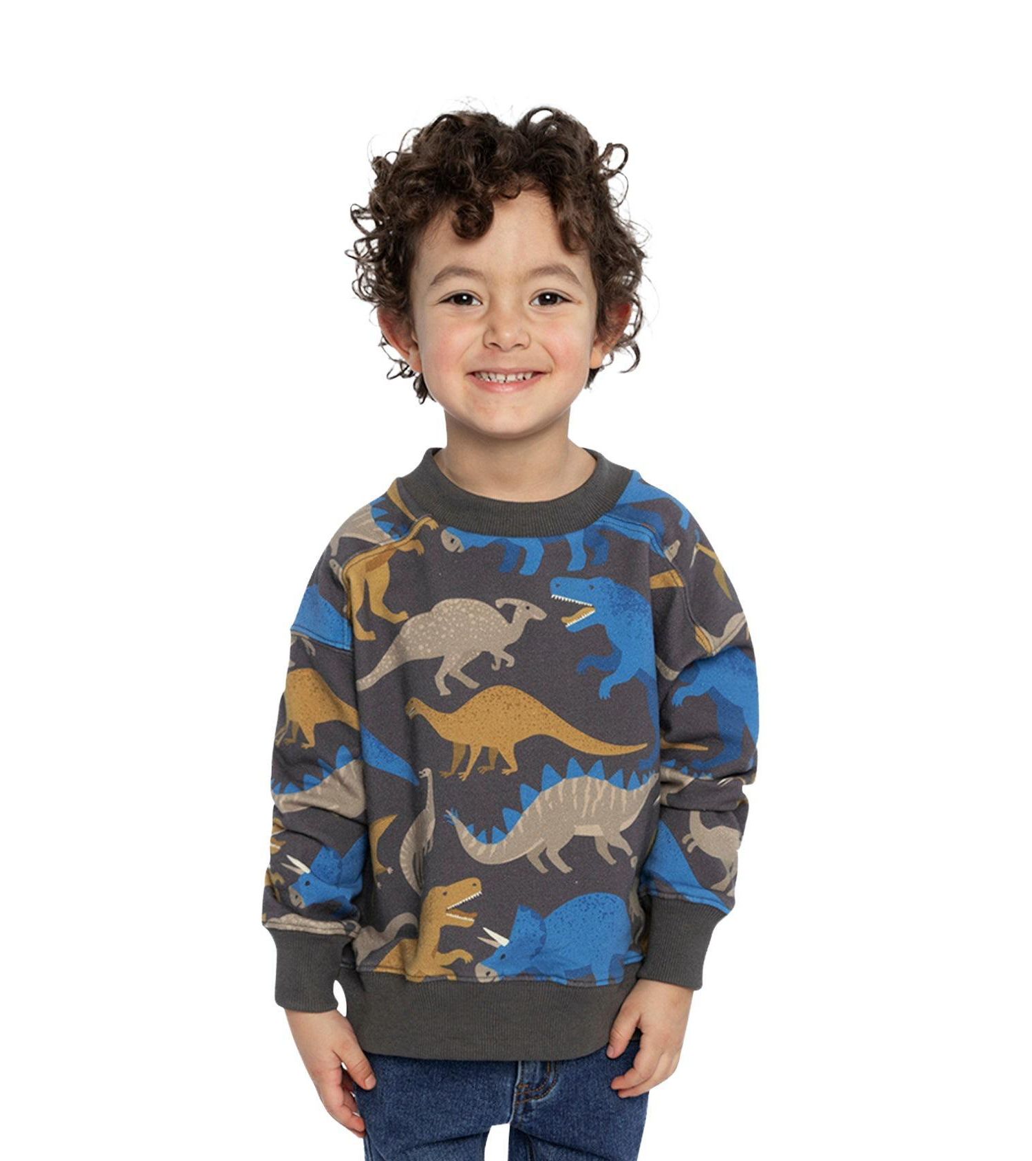 Little Boys (6-12) Fleece Sweatshirt