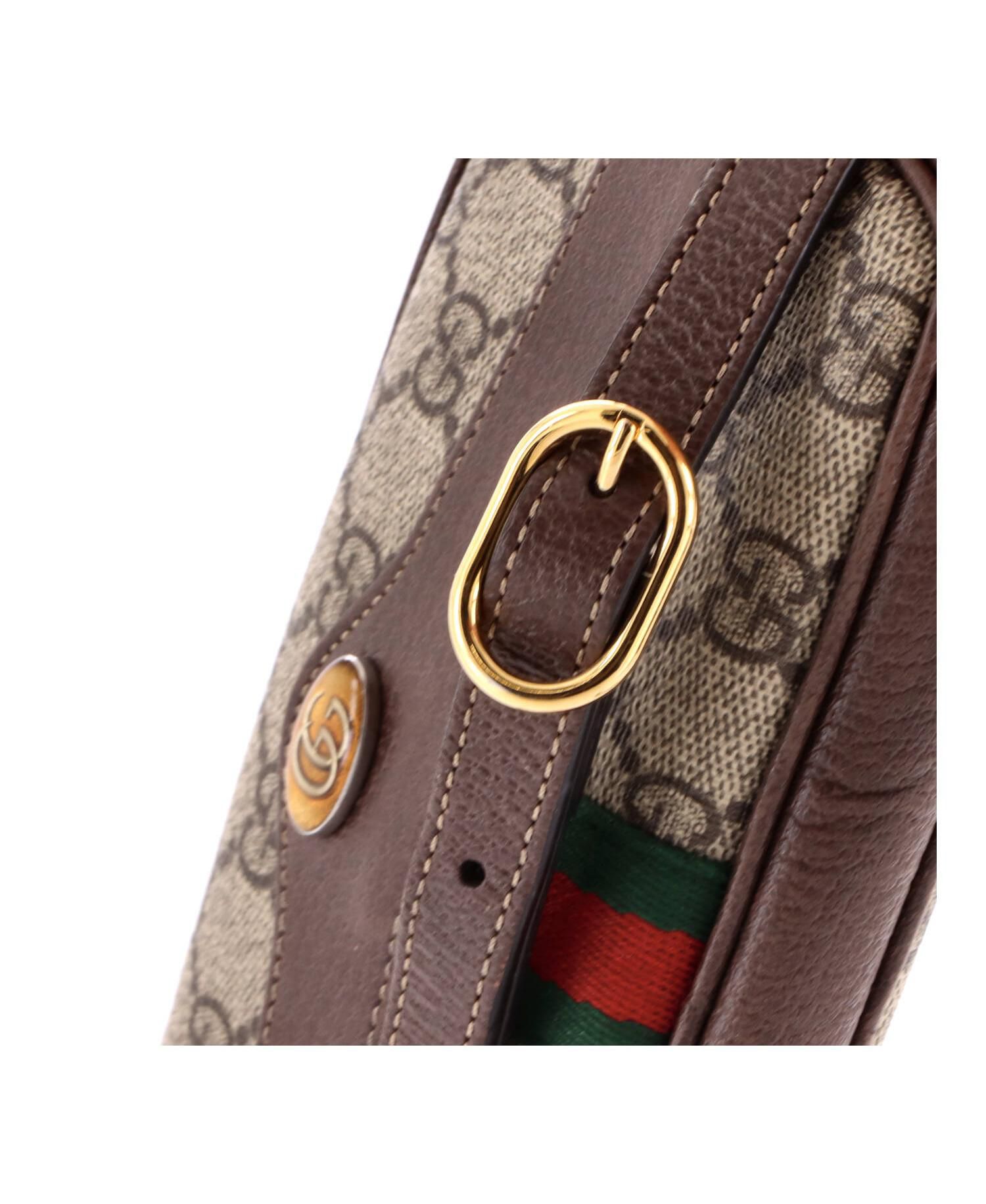 Mini Ophidia Crossbody Bag GG Coated Canvas
