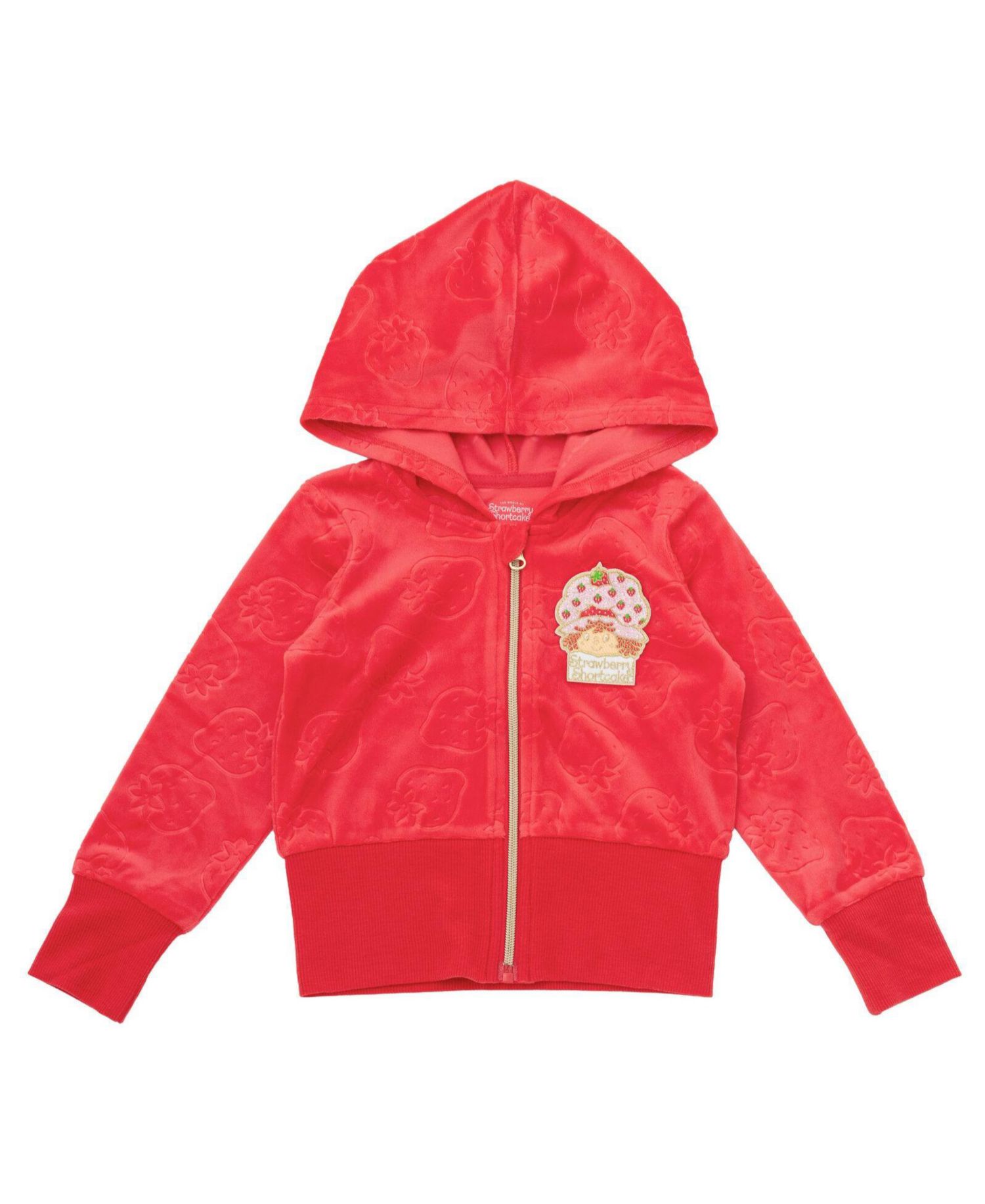 Little Girls (5-12) Velour Hoodie and Pants Set