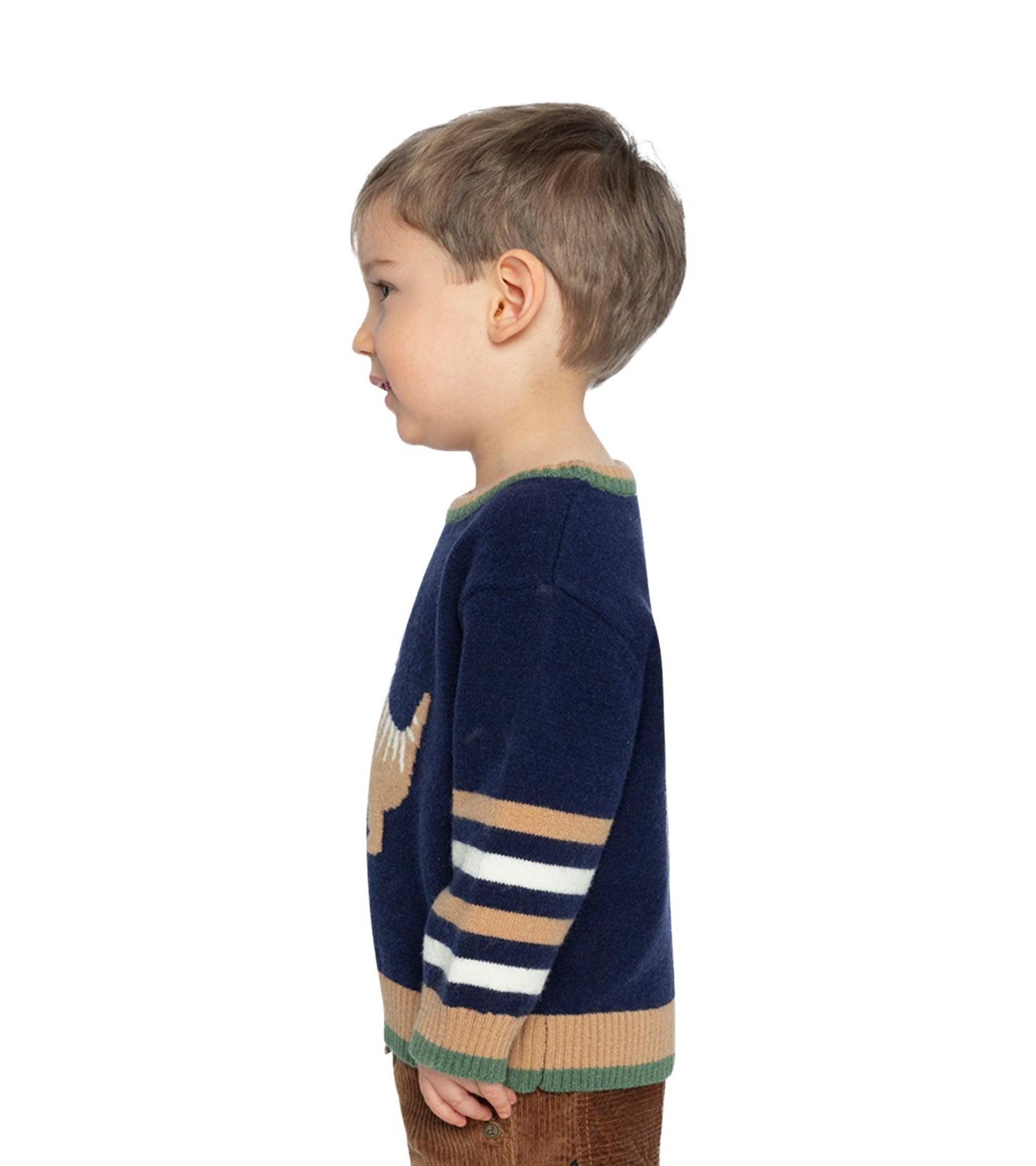 Little and Big Boy (6Y - 8Y) Knit Sweater