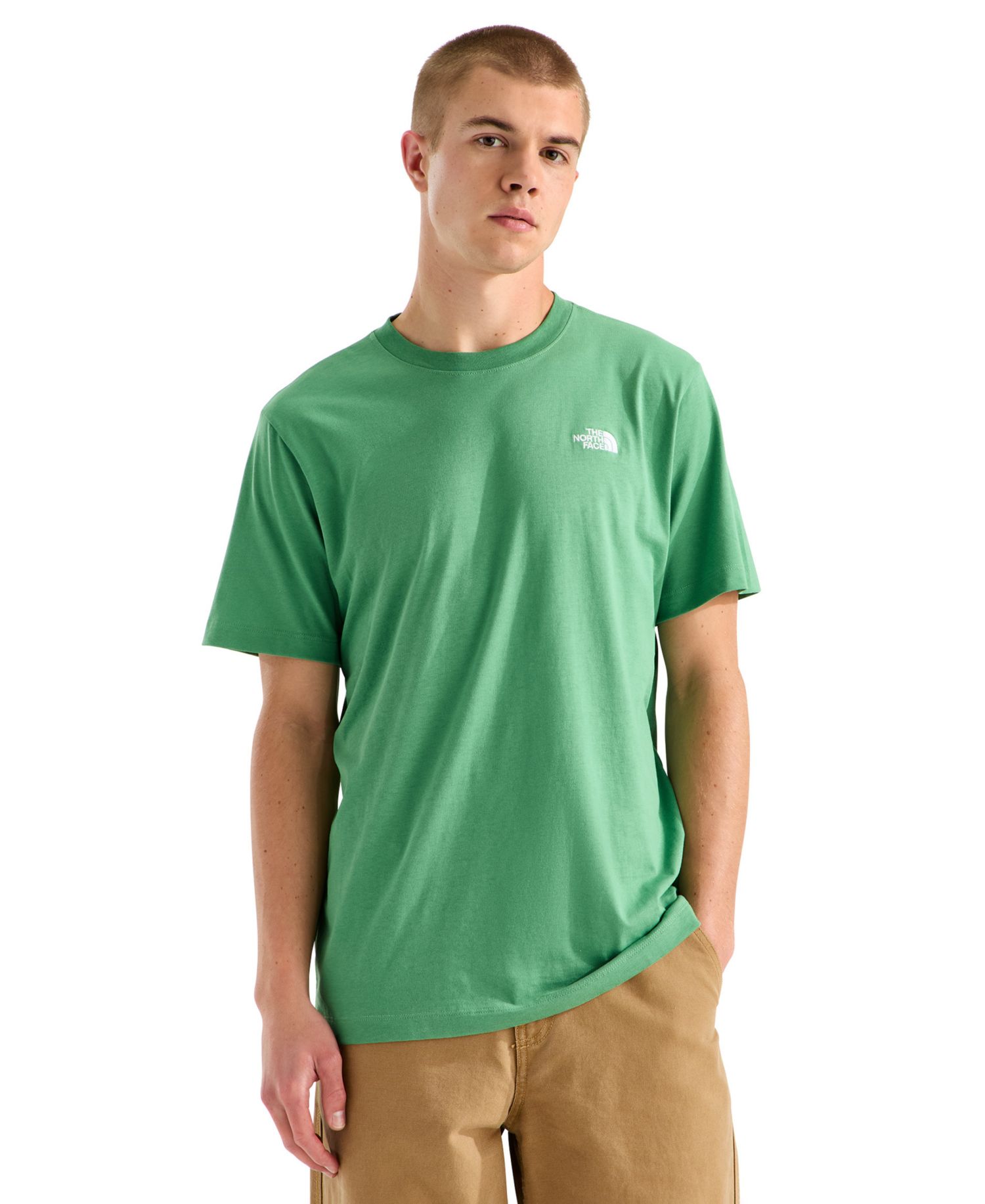 Dimmed Algae