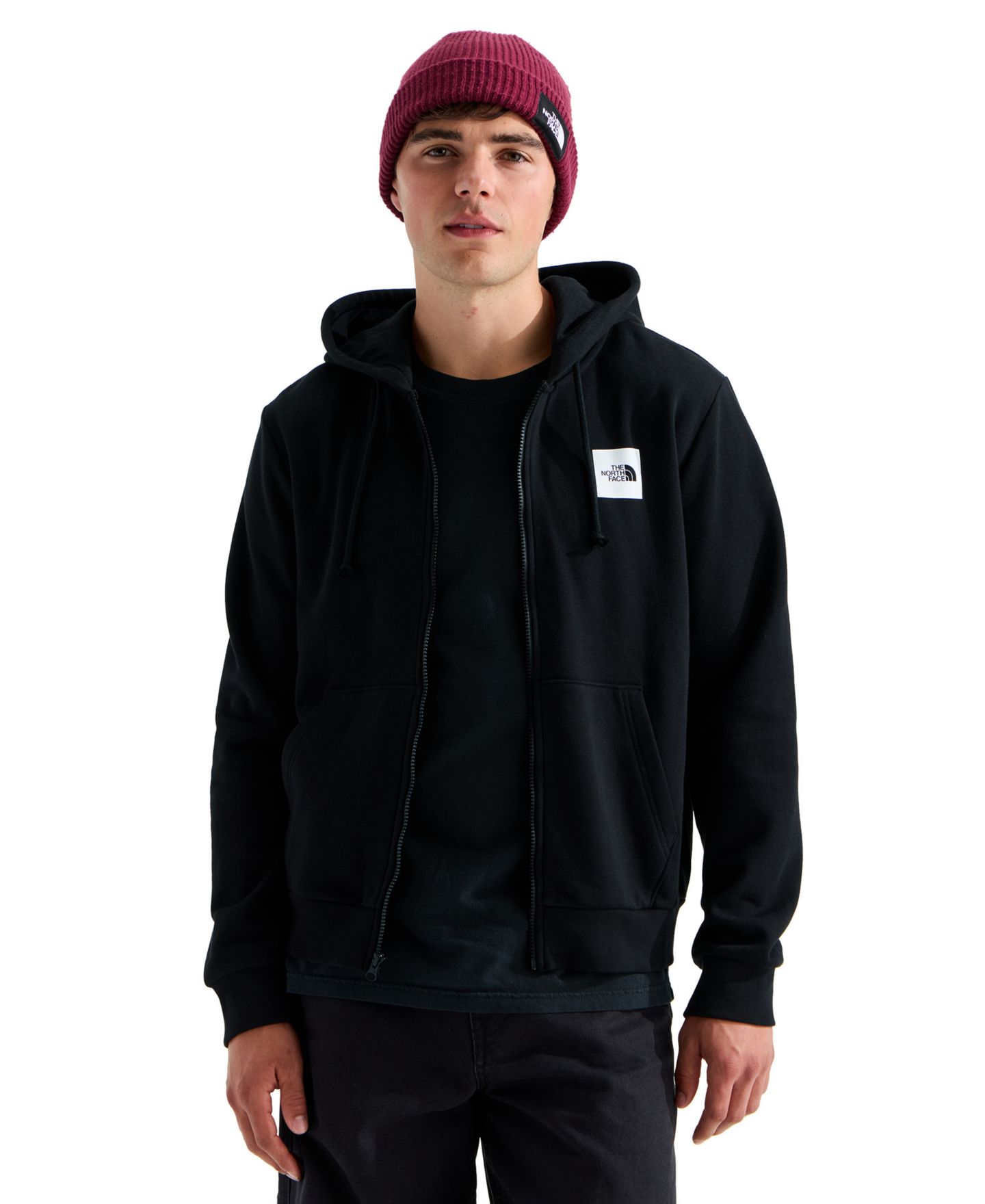 Мужское худи The North Face Evolution Box Half Dome Full-Zip, цвет: Чёрный — фото 1