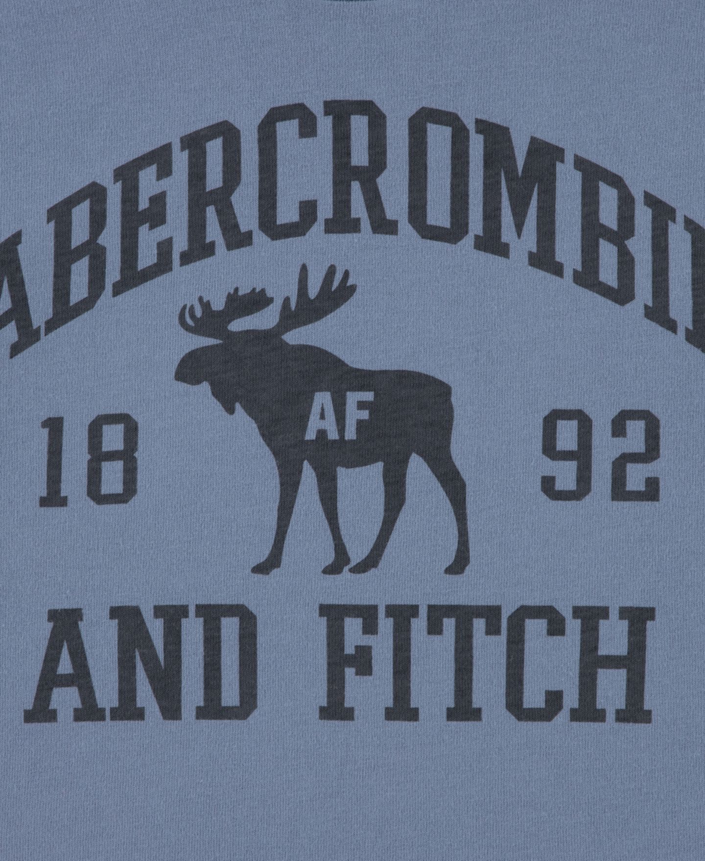 Футболка abercrombie kids Moose Lockup Short-Sleeve для мальчиков, цвет: Серо-бежевый — фото 3
