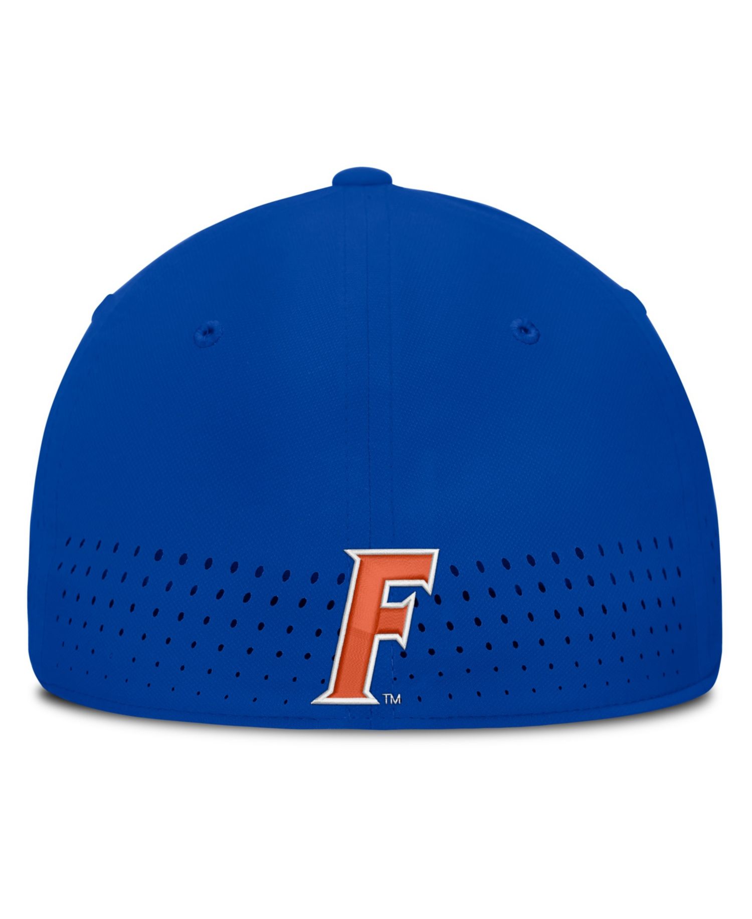 Men's Royal Florida Gators Gameday Aerobill Swooshflex Dri-FIT Hat
