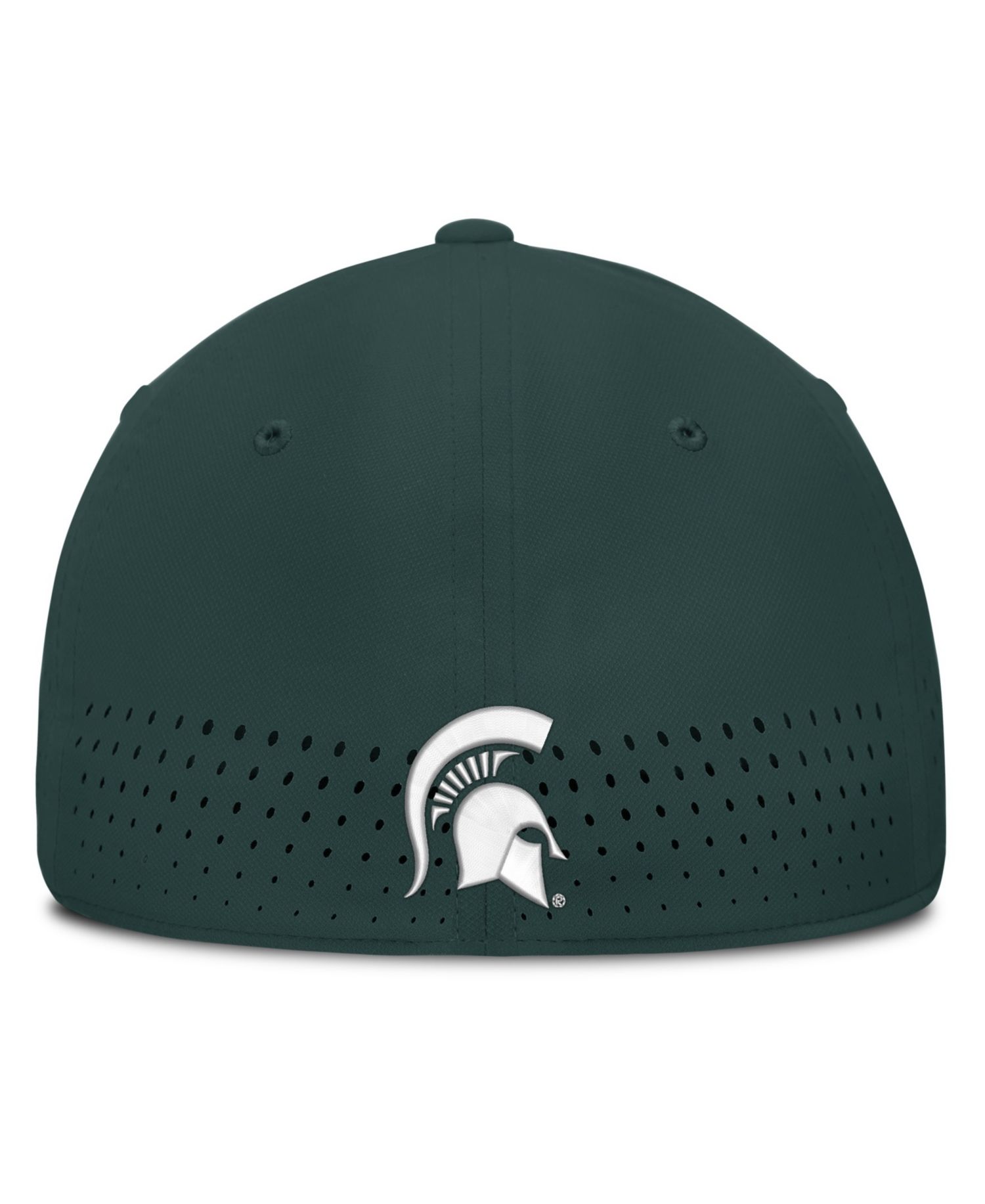 Men's Green Michigan State Spartans Gameday Aerobill Swooshflex Dri-FIT Hat