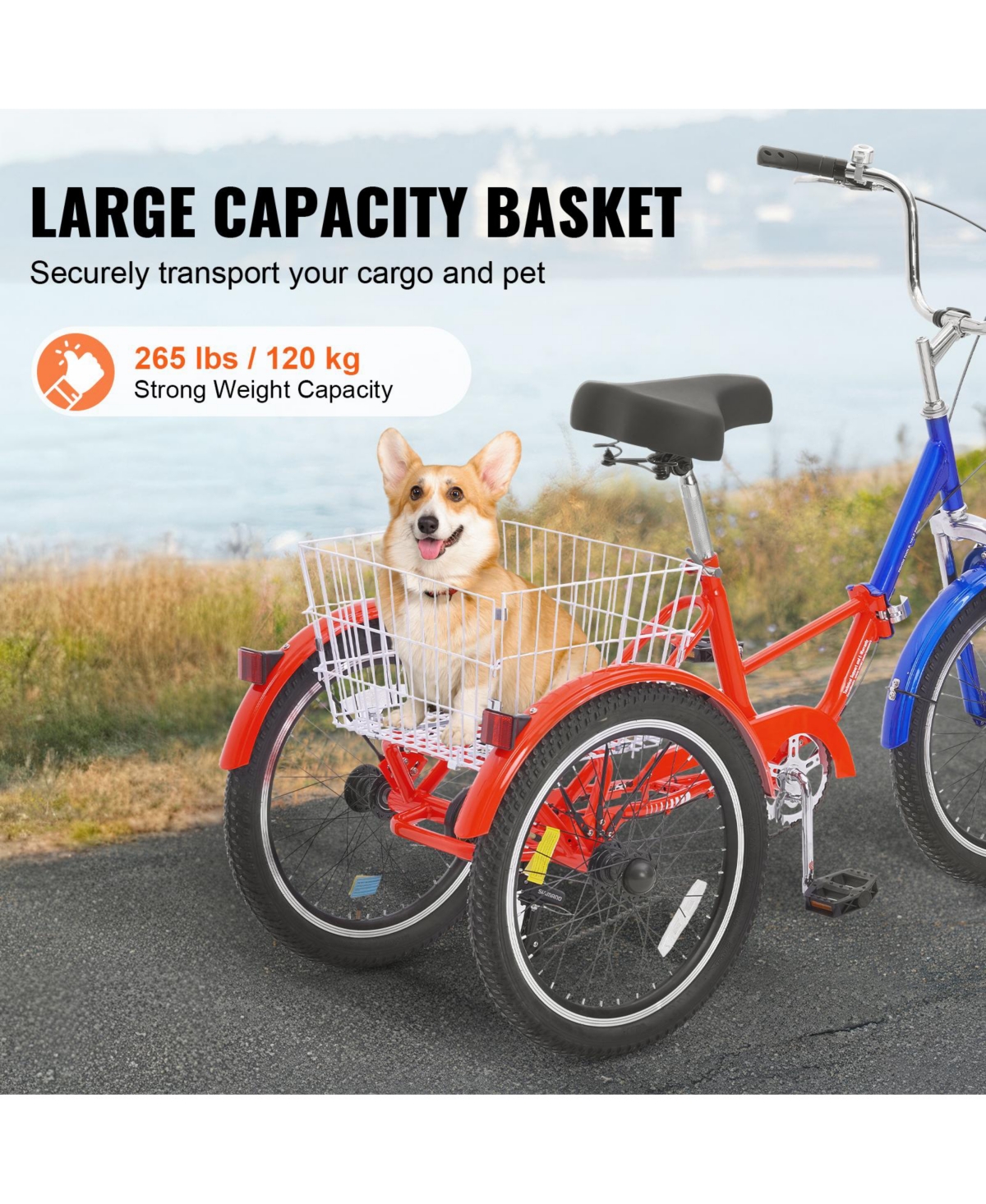 Vevor Folding Adult Tricycle 7-Speed Adult 3 Wheel Trikes Carbon Steel