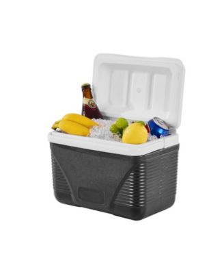 Portable Hard Cooler, 8.5 qt, Holds 12 Cans, Insulated Ice Chest for Picnics