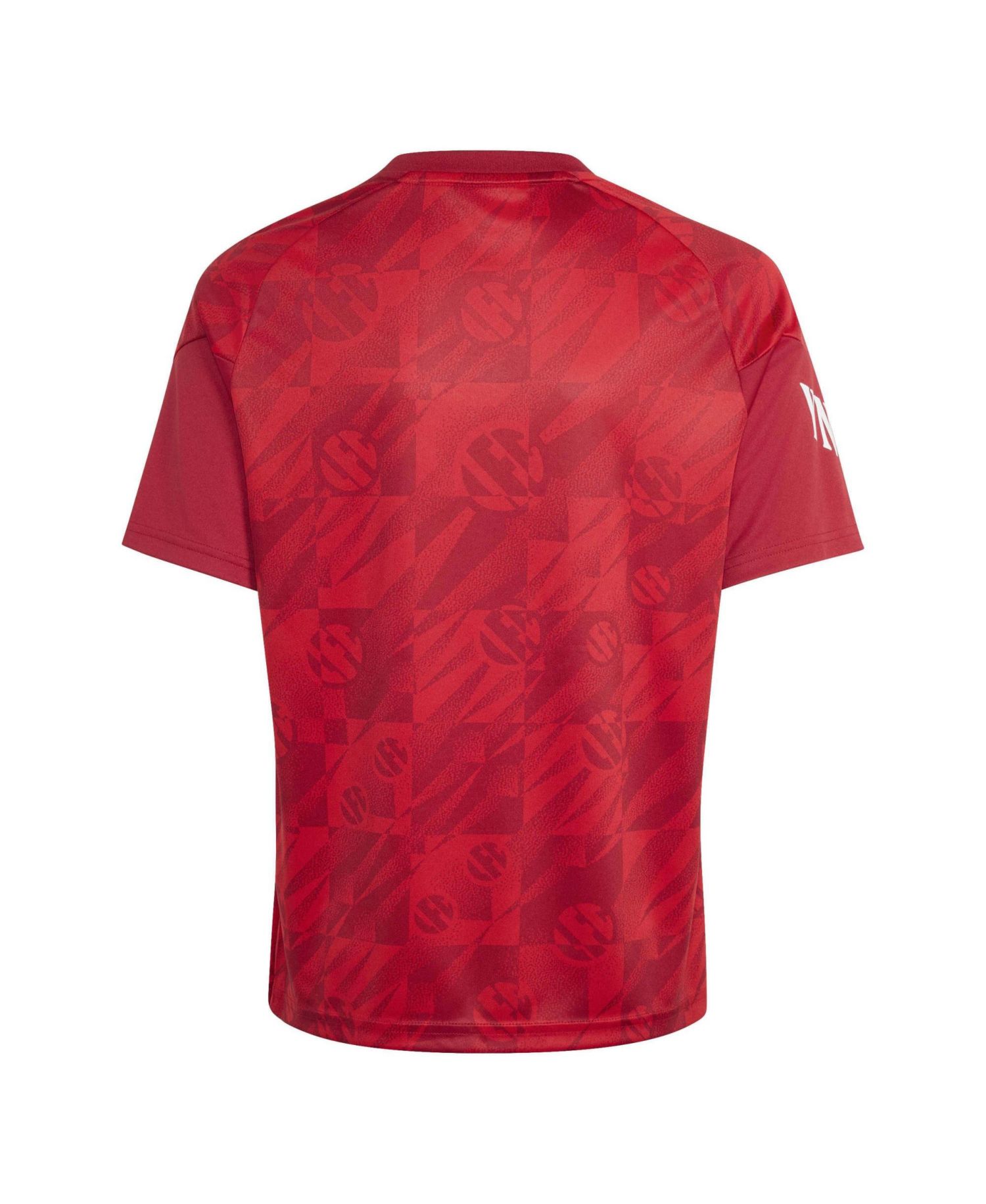 Big Boys and Girls Red Liverpool 2026 Home Pre-Match Jersey