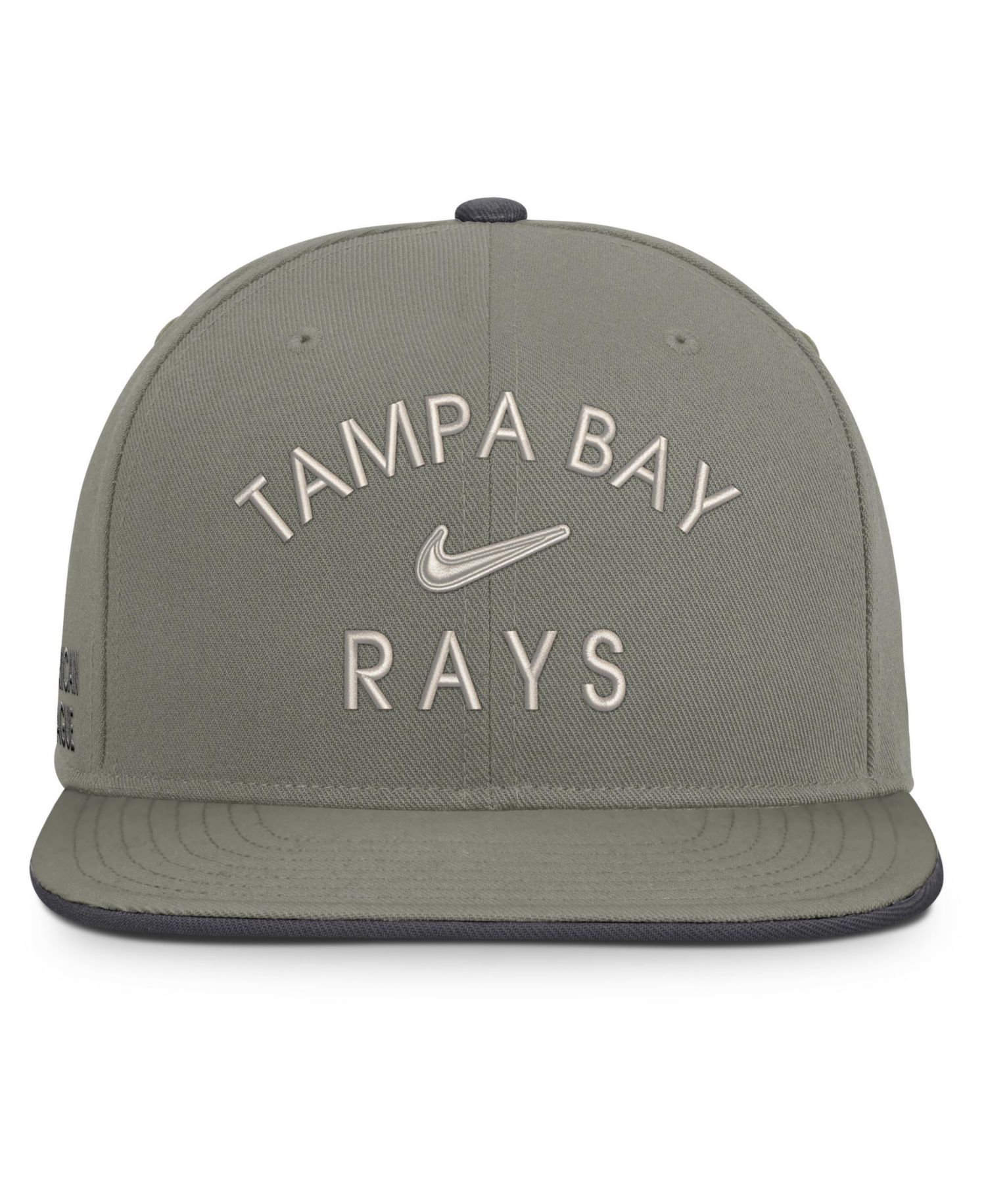 Men's Olive Tampa Bay Rays Pro Dri-FIT Snapback Hat