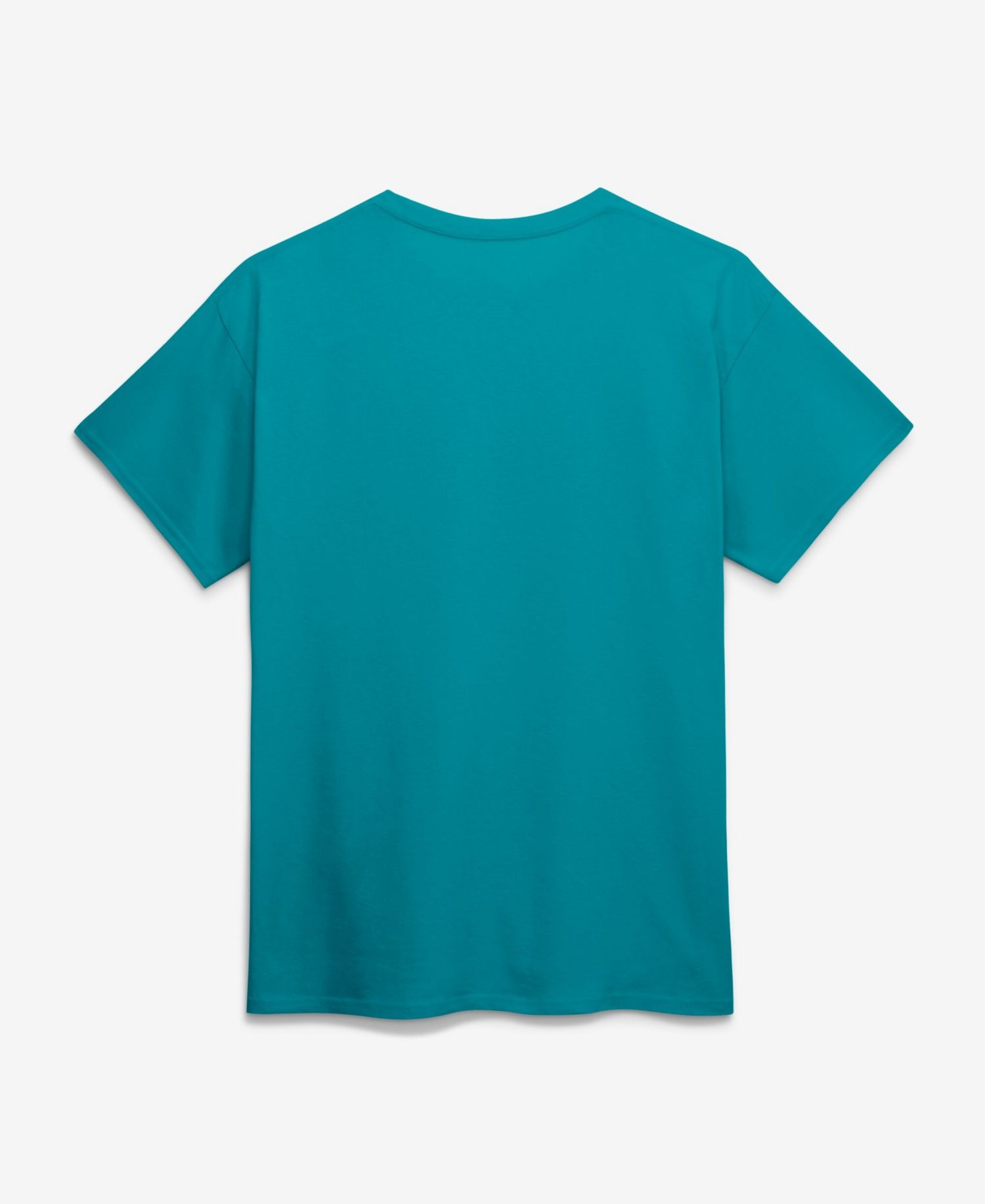 Men's Aqua Miami Dolphins Cotton Victory Arch T-Shirt