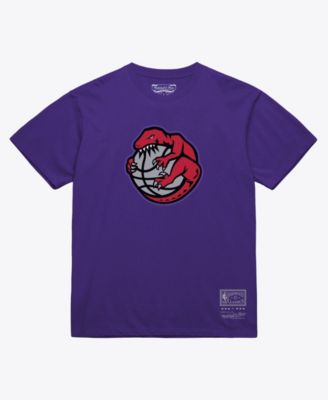 Men's and Women's Purple Toronto Raptors Hardwood Classics Arch T-Shirt