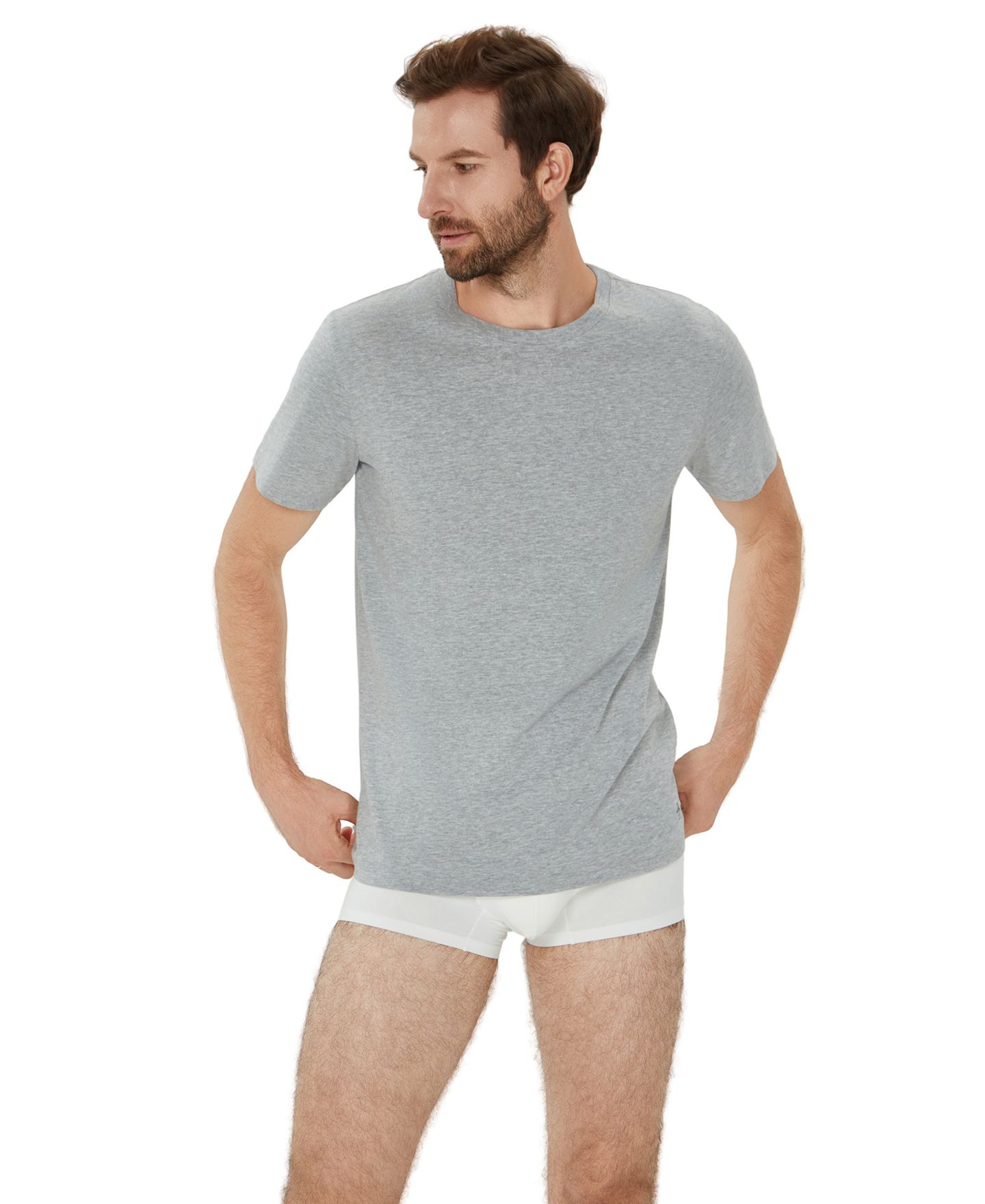 Мужские футболки Original Penguin Cotton Crewneck T-Shirt, 4-Pack, цвет: Разноцветный — фото 7