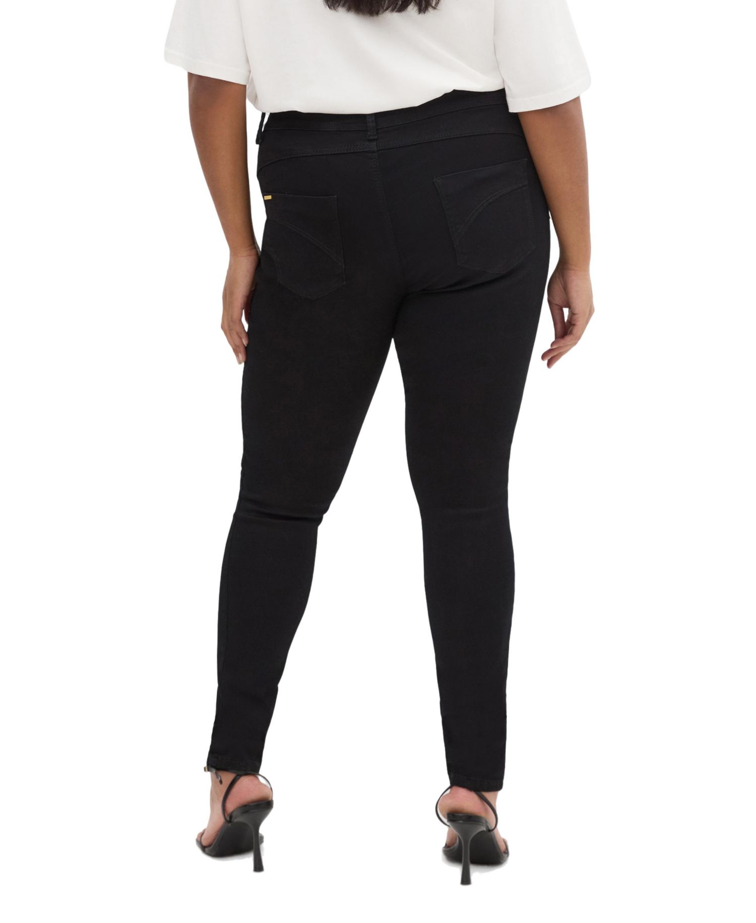 Plus Size Asha Fit Skinny Leg Regular Jean