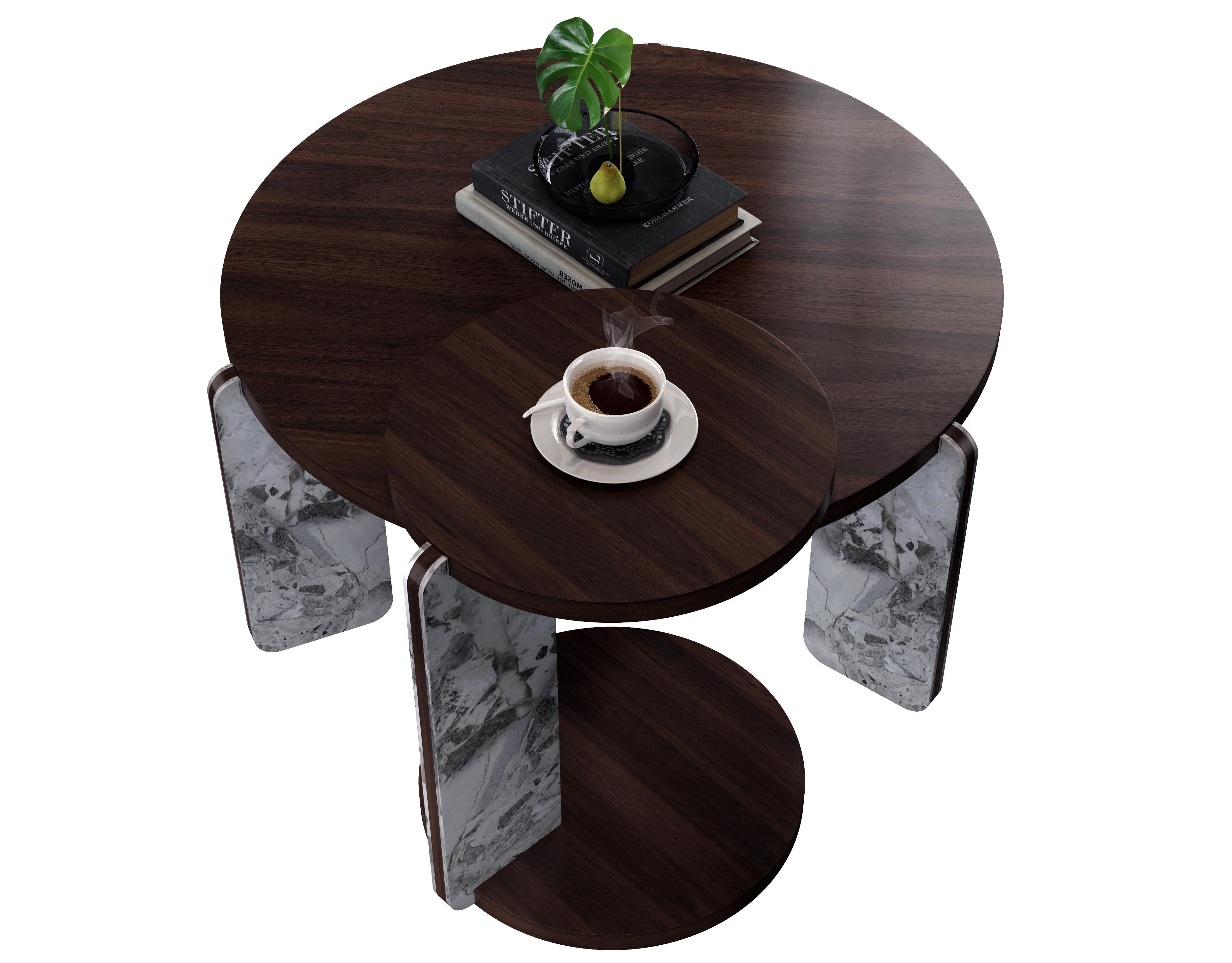 Flynama 2-Piece Nesting Coffee Table Set, Veneer Mdf Top with Sintered Stone Legs and Base