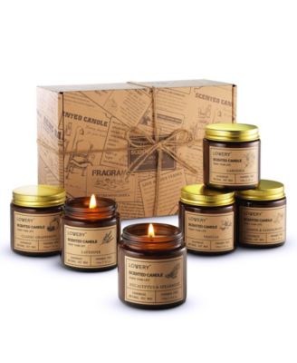 6-Piece Scented Candle Gift Set - Luxury Aromatherapy Home Soy Candles