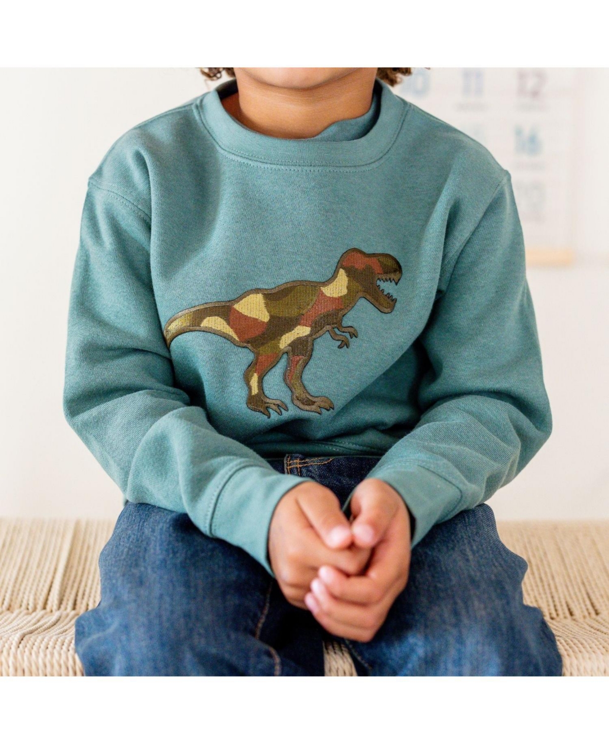 Sweet Wink Little Boys Camo Dino Patch Sweatshirt