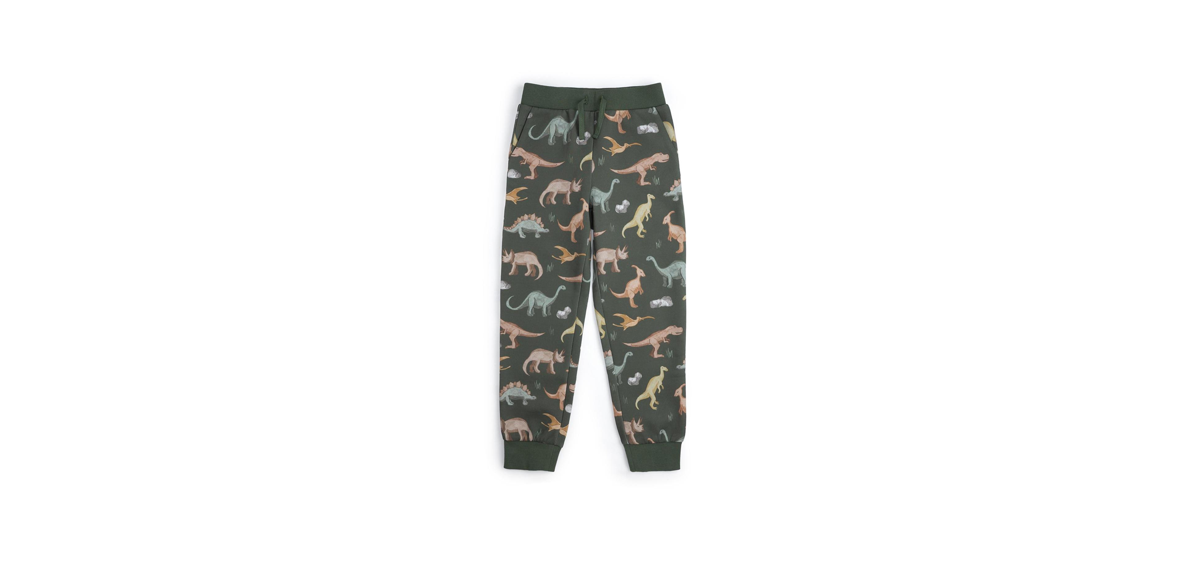 Sweet Wink Little Boys Dinosaurs Rock Jogger