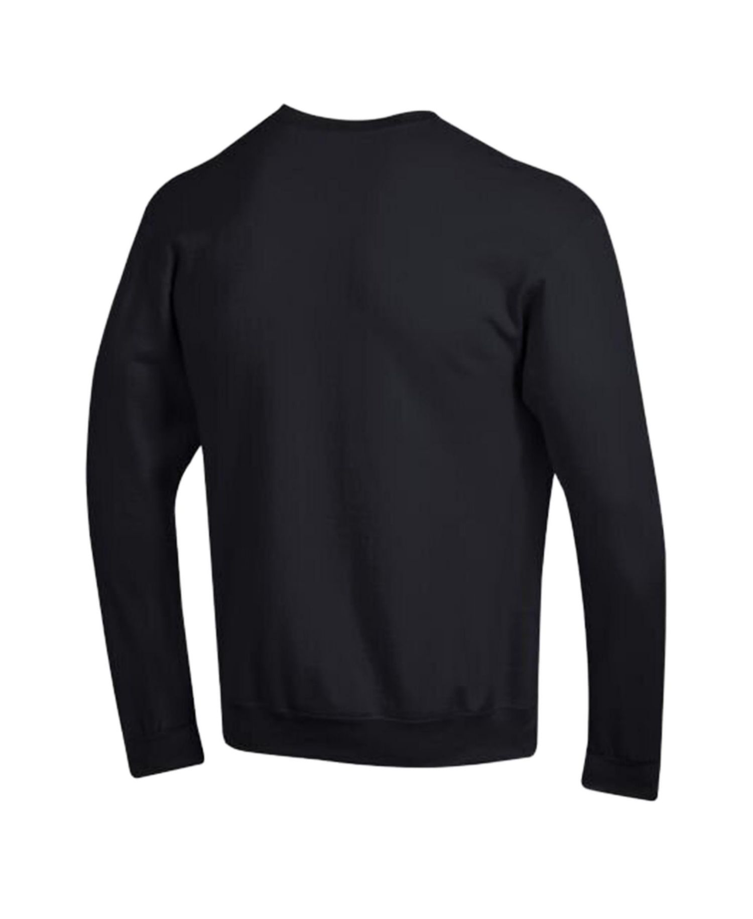 Men's Black Carolina Panthers Powerblend Fleece Sweatshirt
