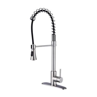 Single Handle High Arc Pull-Down Kitchen Faucet with 2-Function Sprayer and 360degree(s) Swivel