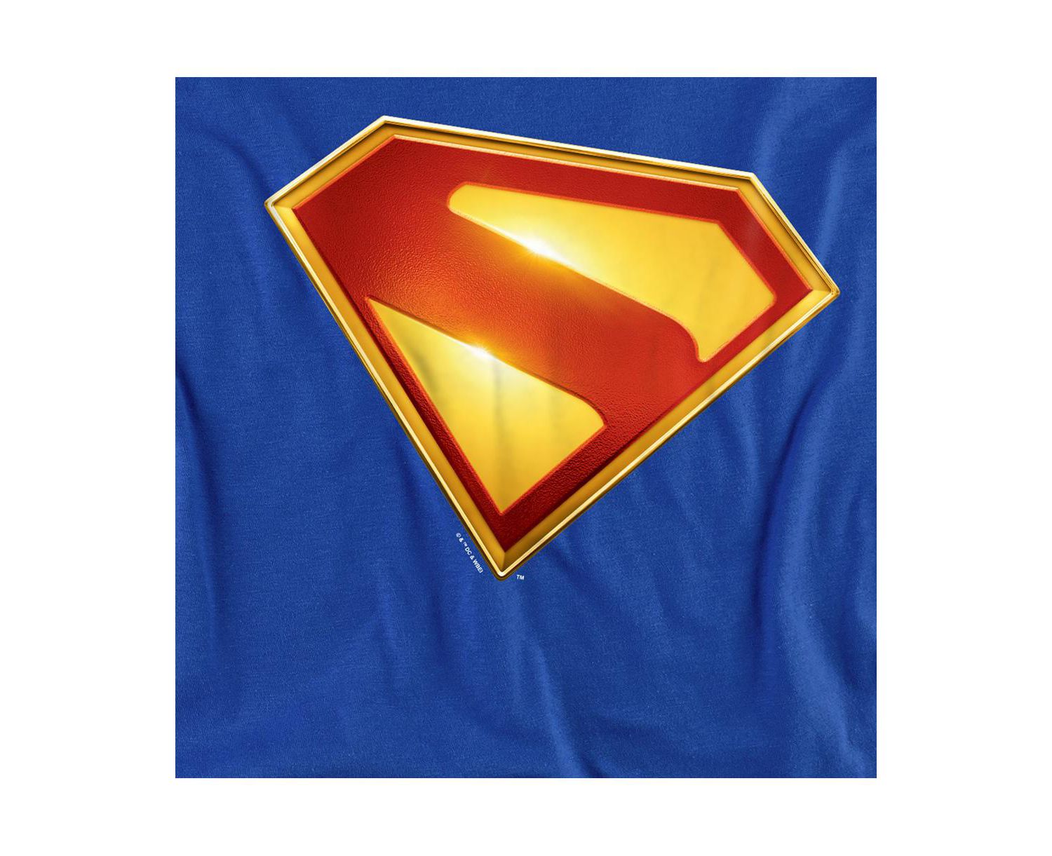 Men's 2025 New Logo Color T-Shirt