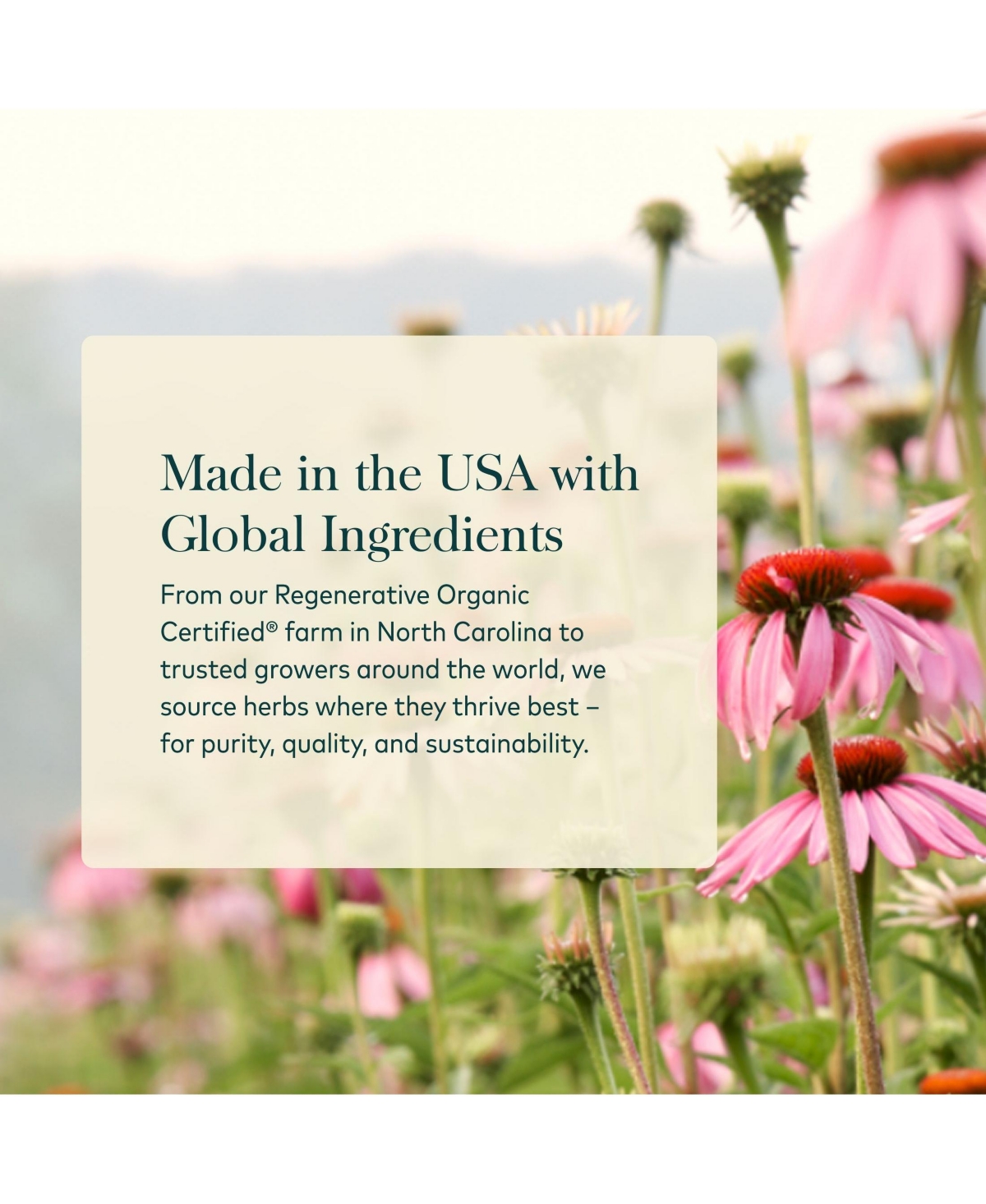 Gaia Herbs Echinacea Supreme Regenerative Certified Tinctures 1 fl oz