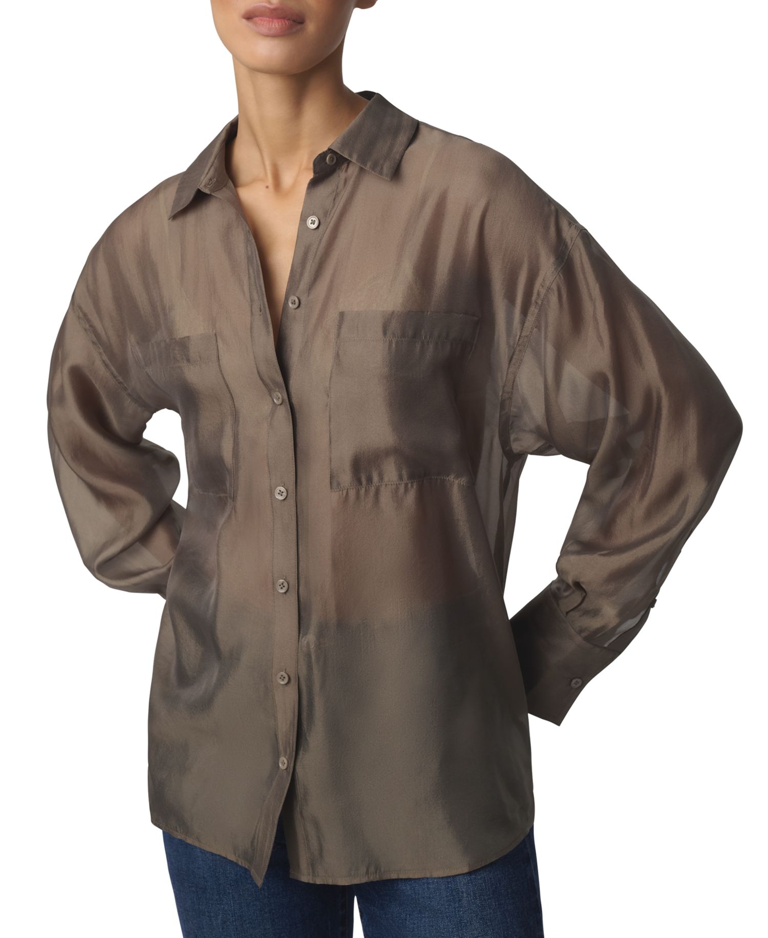 Women's Organza Boyfriend Sheer Long-Sleeve Button-Up Shirt