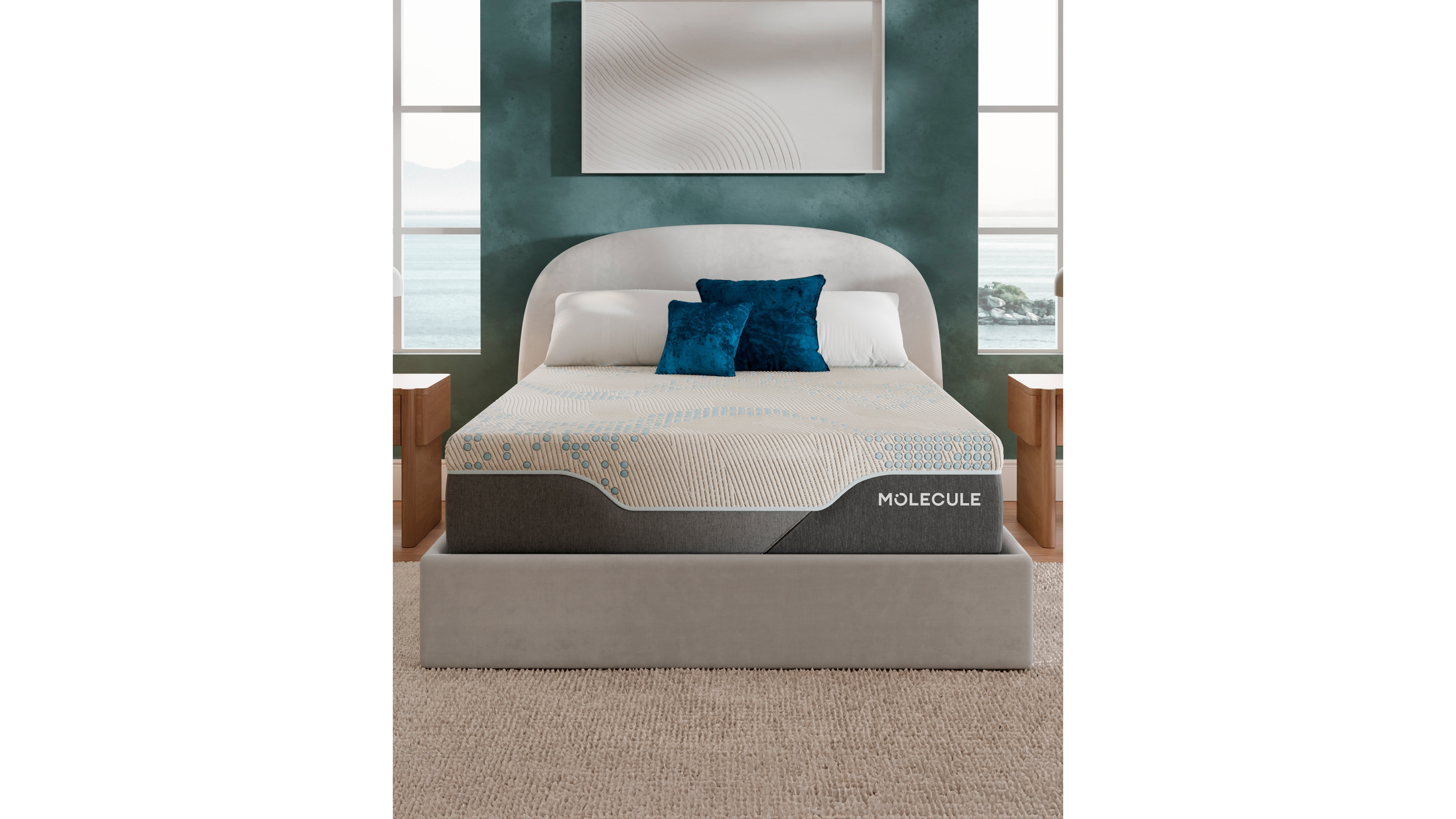 Molecule Reflex Elite 14" Plush Memory Foam Tight Top Mattress in a Box, Queen