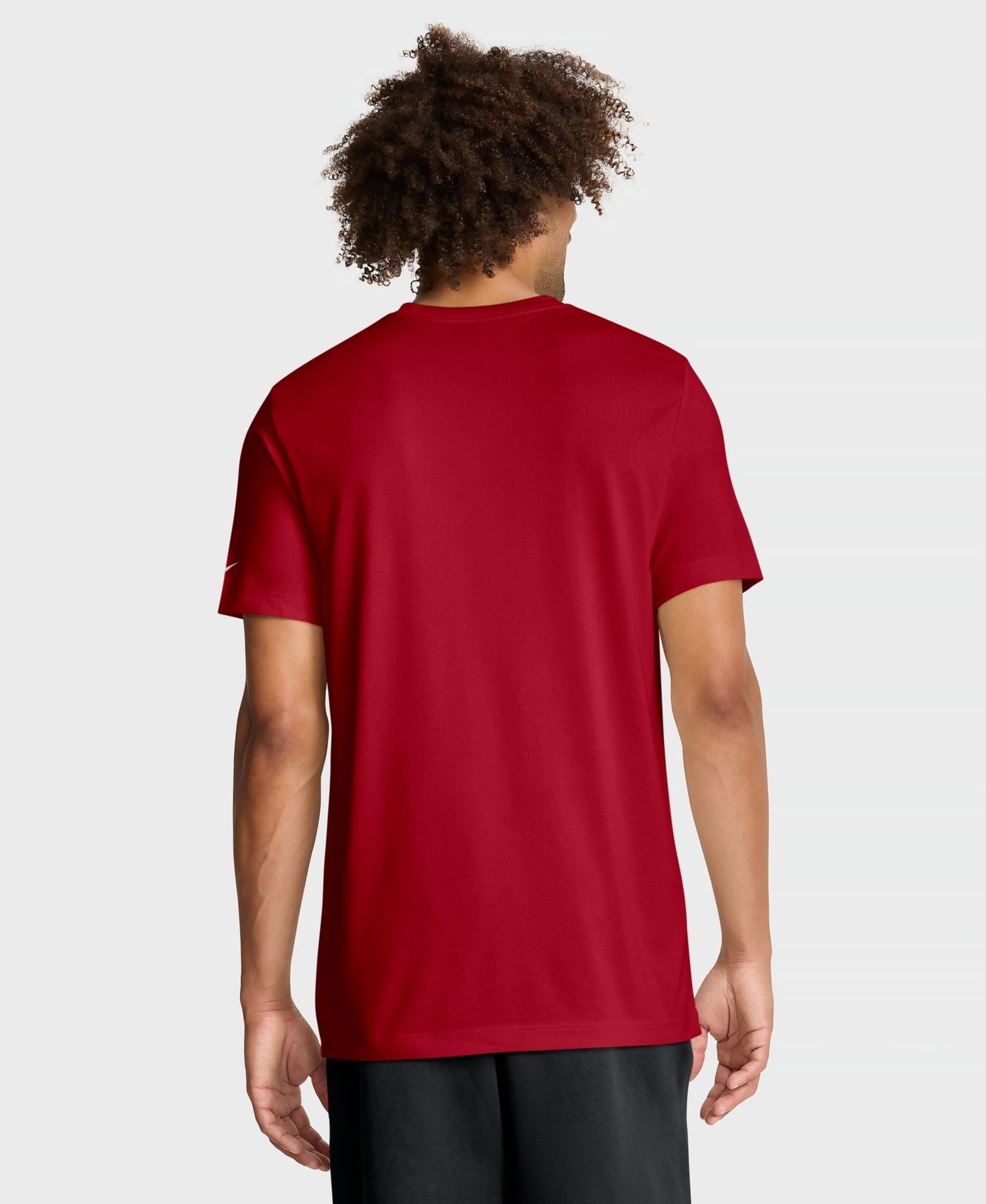 Men's Scarlet San Francisco 49ers Legend Icon Dri-FIT T-Shirt