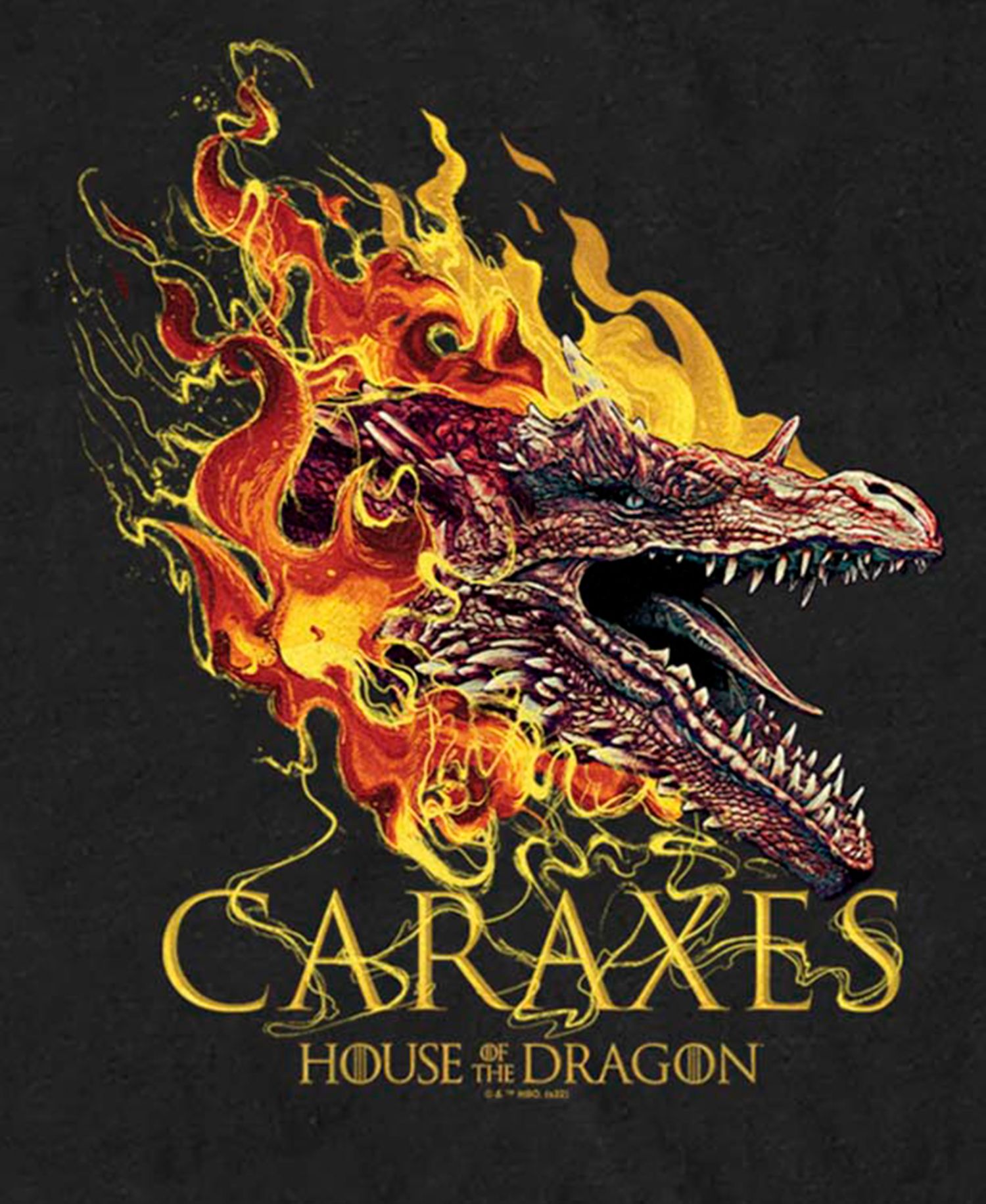Men's House of the Dragon Caraxes The Dragon T-Shirt