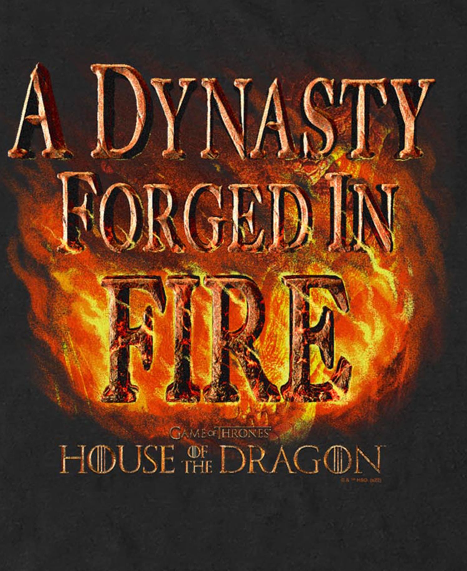 Men's House of the Dragon A Dynasty Forged T-Shirt