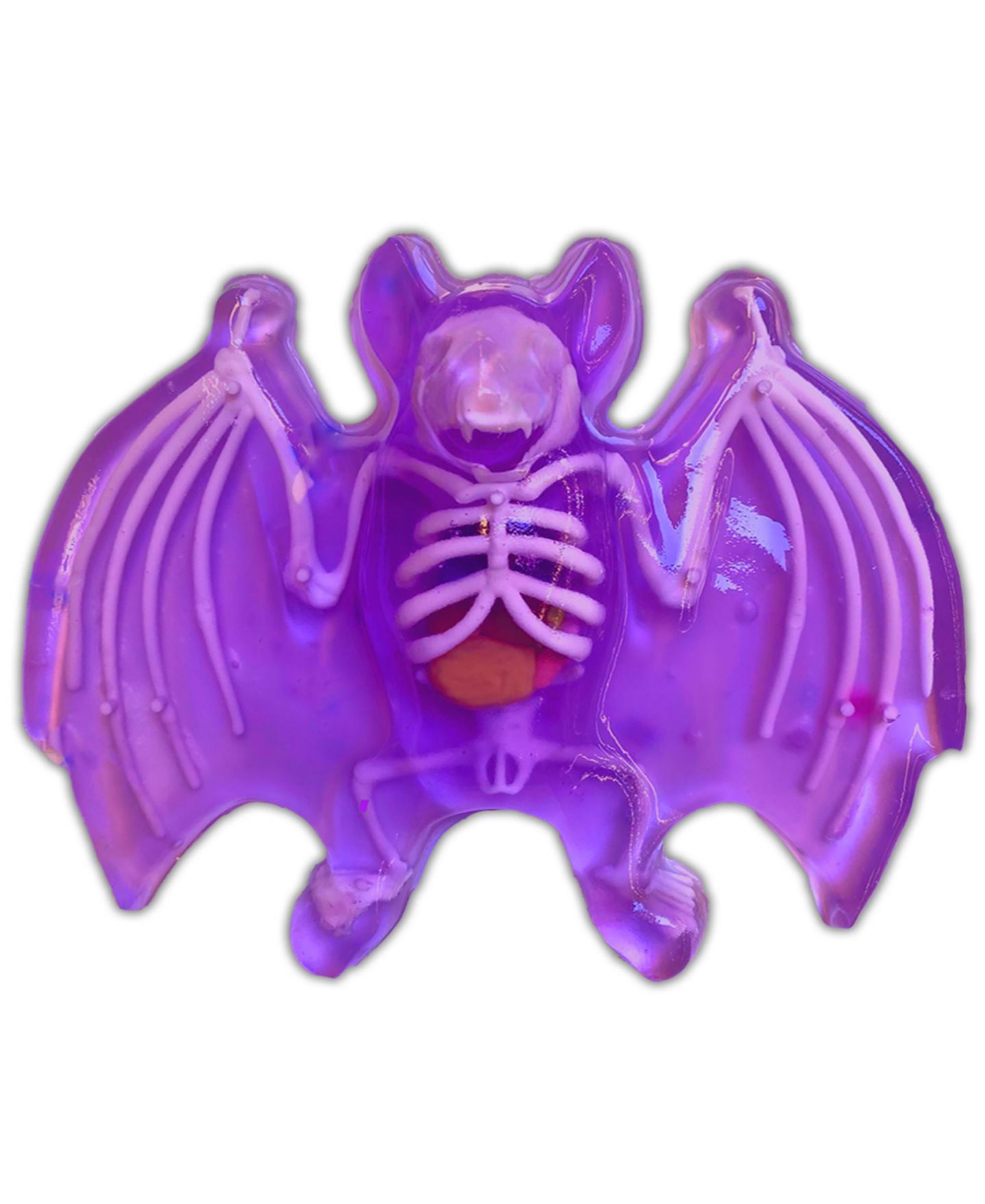 Детские игрушки Dissect-It Bat Lab Realistic Dissection Kit, Ages 6+ — фото 6