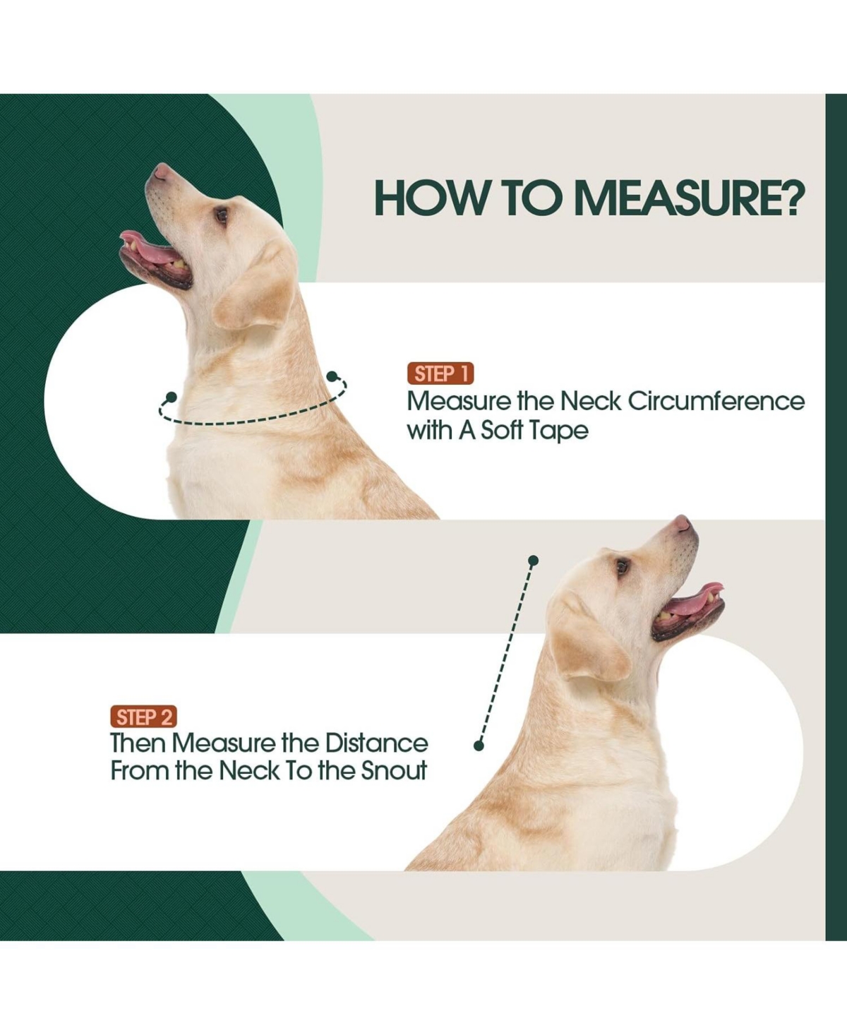 Soft Double-Layer Mesh and Transparent Pvc Recovery Cone Collar for Dogs
