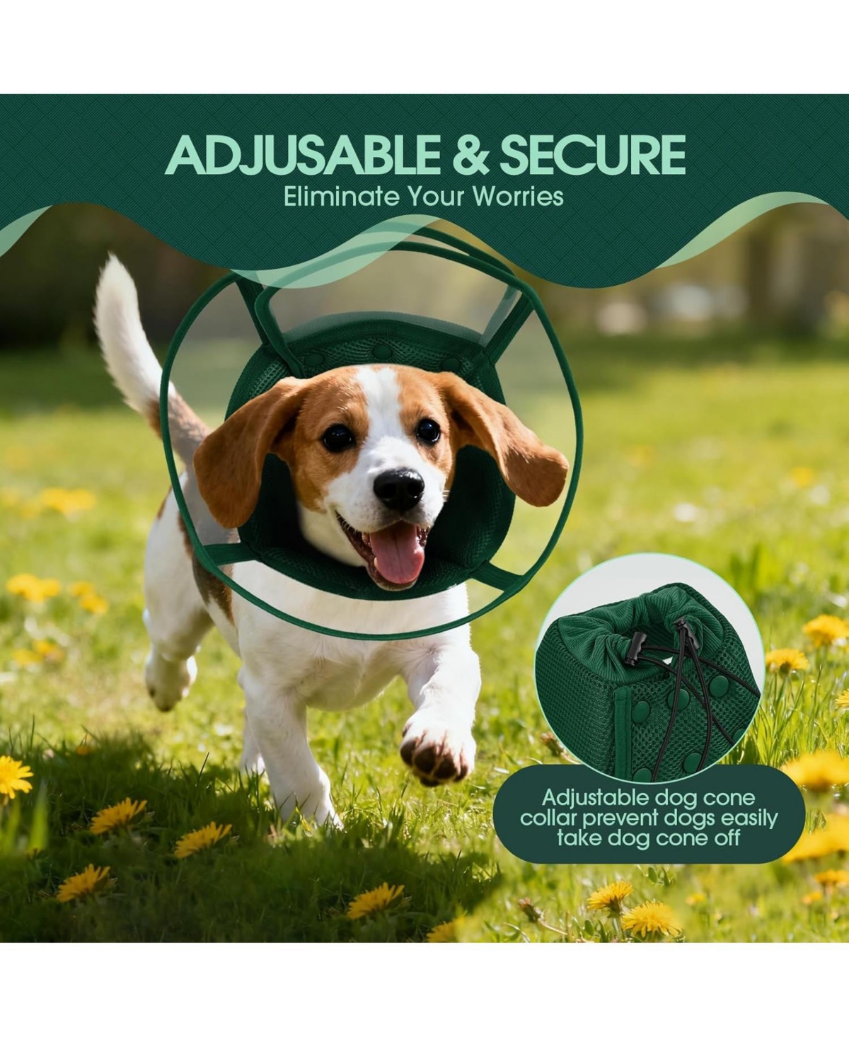 Soft Double-Layer Mesh and Transparent Pvc Recovery Cone Collar for Dogs