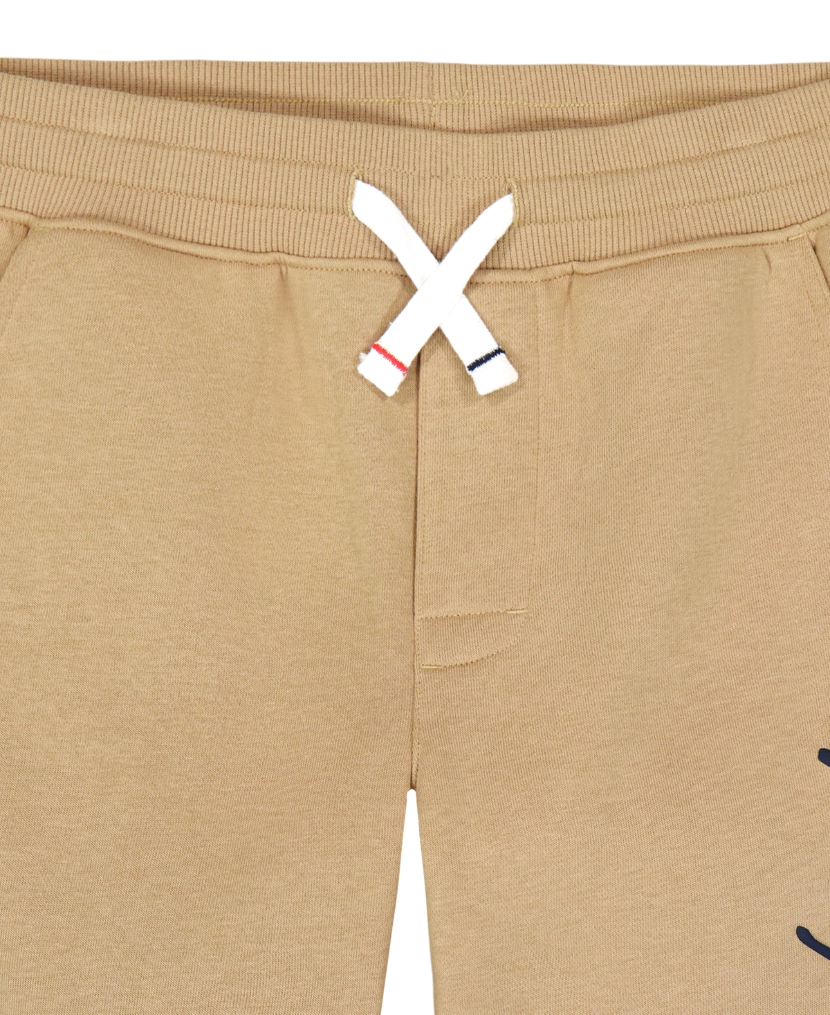 Tommy Hilfiger Boys' 8-20 Signature Pull-On Puff-Print Graphics Cotton-Blend Jogger