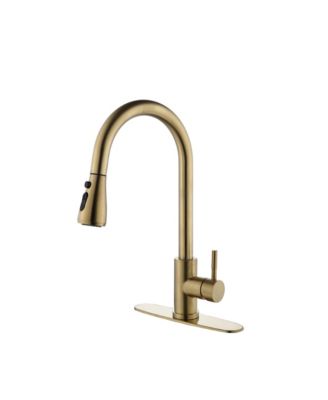 Kitchen Faucet with Pull Out Sprayer Single Handle Stainless Steel