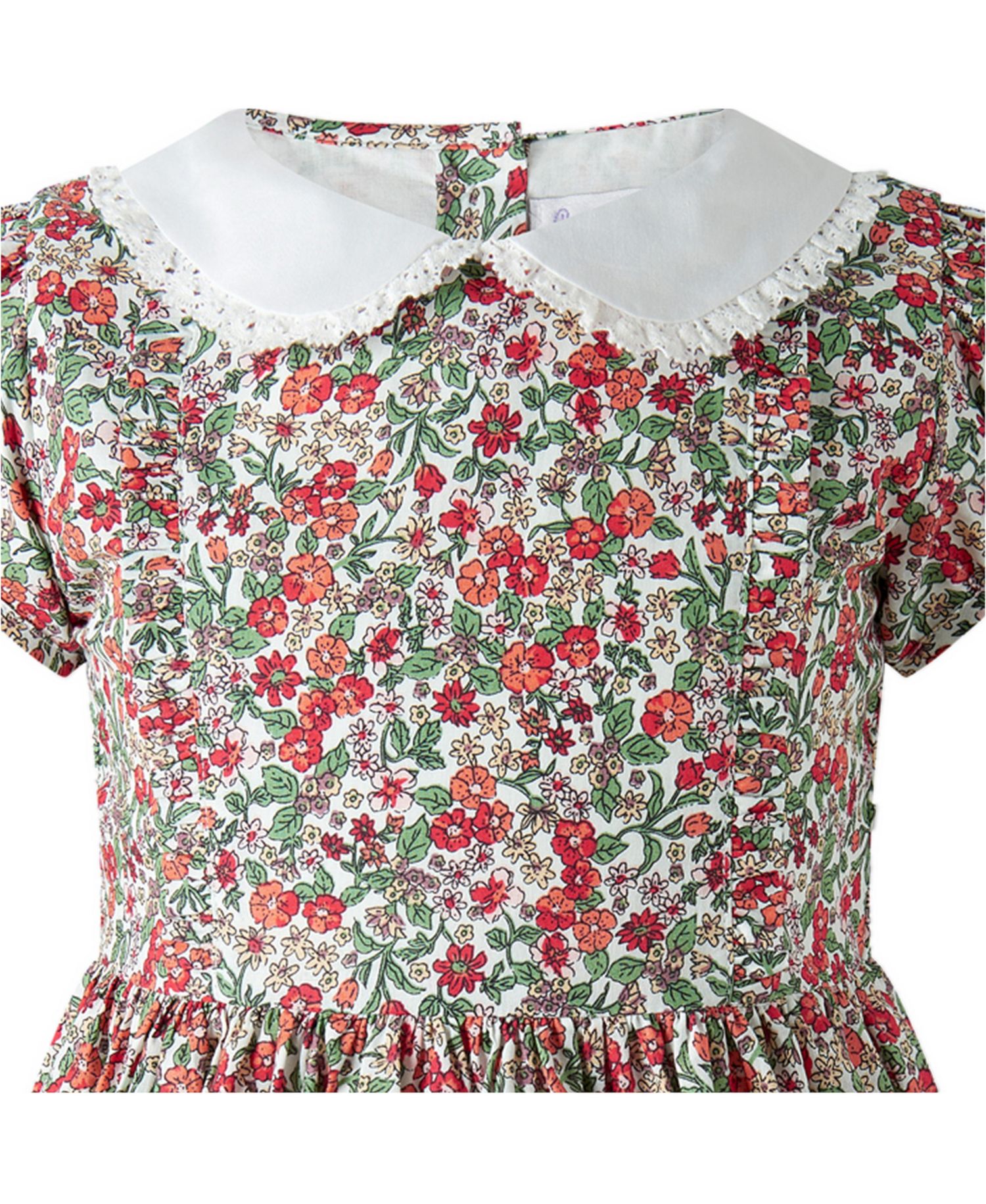Toddler Girls' 2T-5T Botanical Frill Front Puff Sleeve Dress